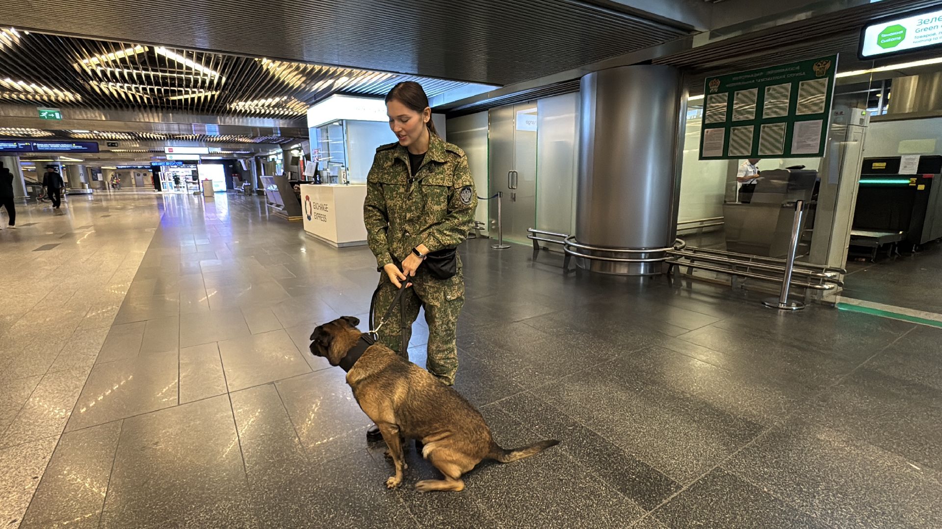 Кинологи аэропорта Внуково, Таможня на замке, Таможенный контроль,