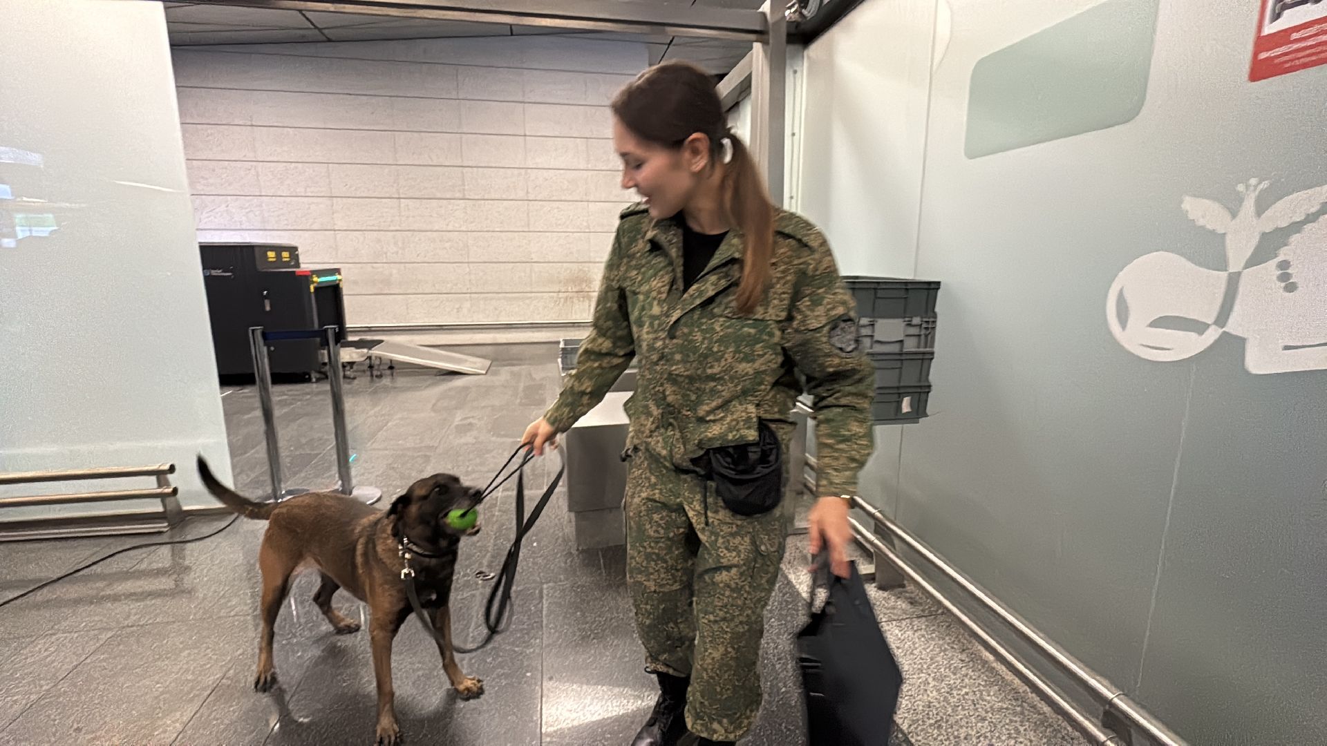 Кинологи аэропорта Внуково, Таможня на замке, Таможенный контроль,