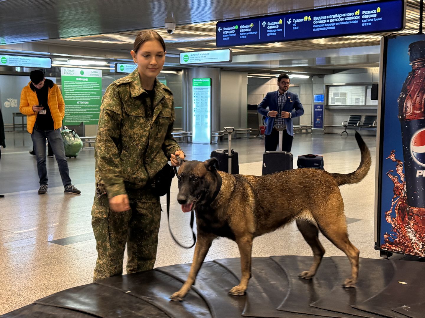 Кинологи аэропорта Внуково, Таможня на замке, Таможенный контроль,