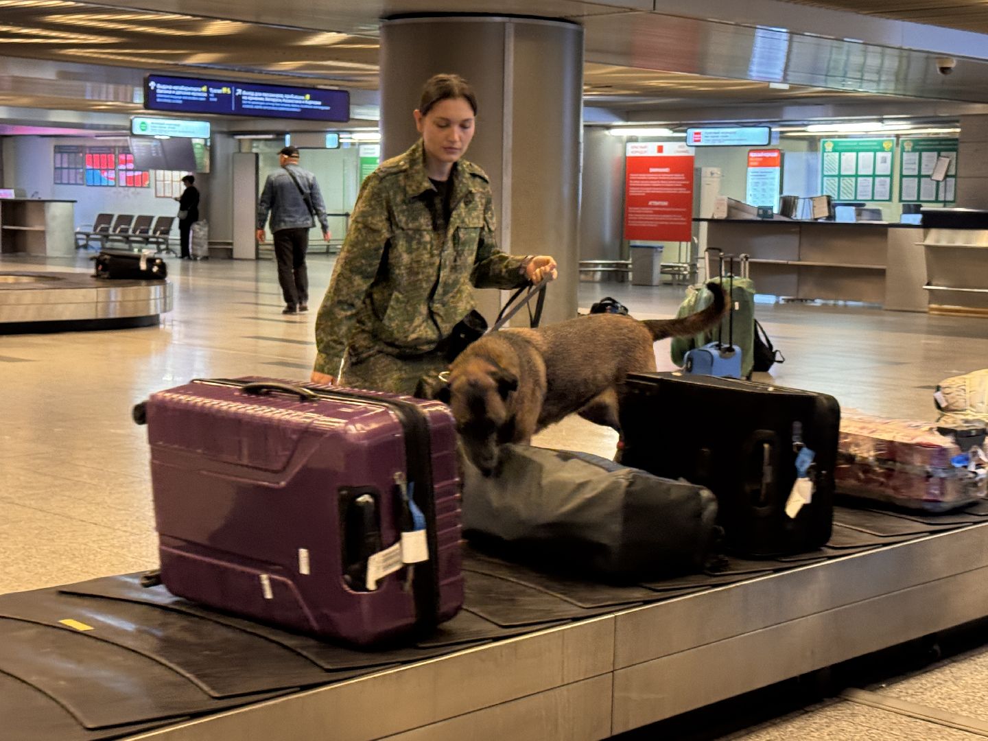 Кинологи аэропорта Внуково, Таможня на замке, Таможенный контроль,