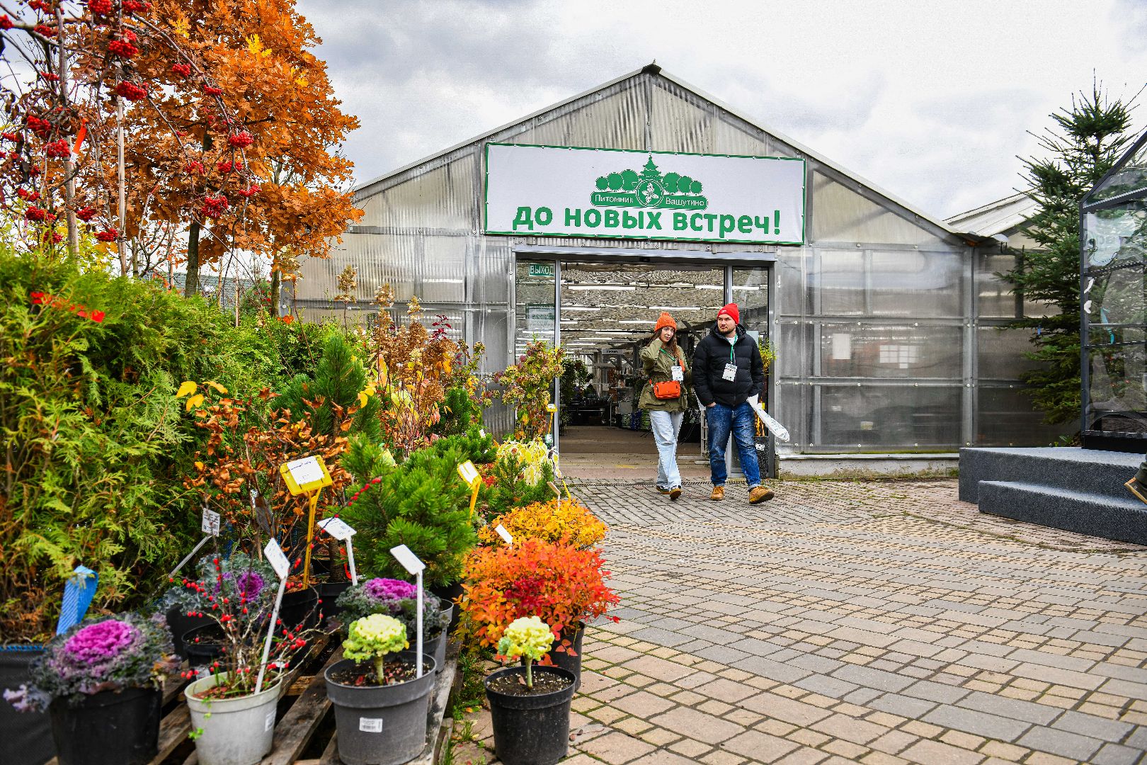 цветы, деревья, питомник, выставка,