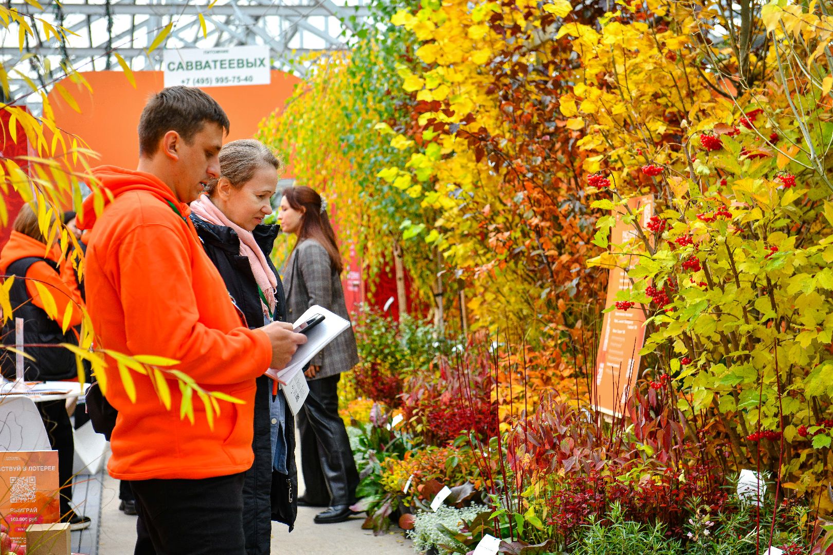 цветы, деревья, питомник, выставка,