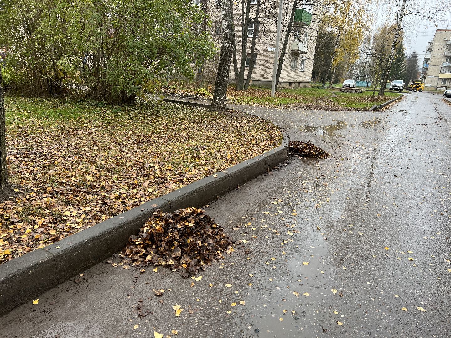 Запрудня благоустройство, Талдомский округ , Уборка тратуаров,