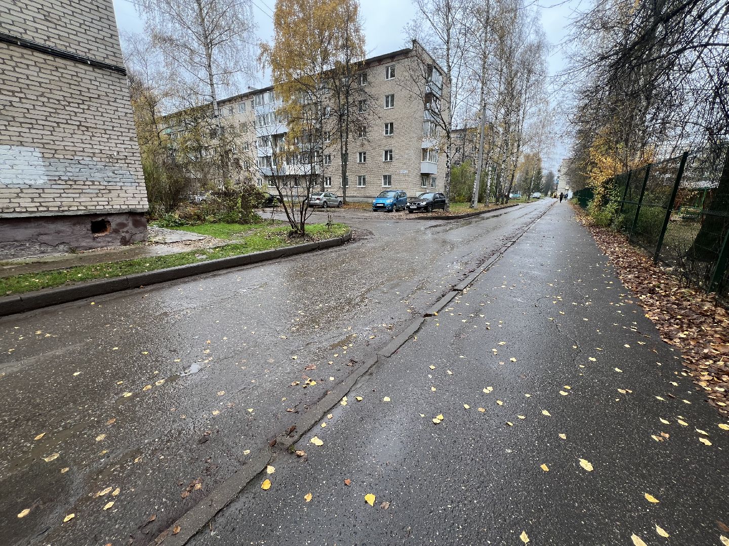 Запрудня благоустройство, Талдомский округ , Уборка тратуаров,