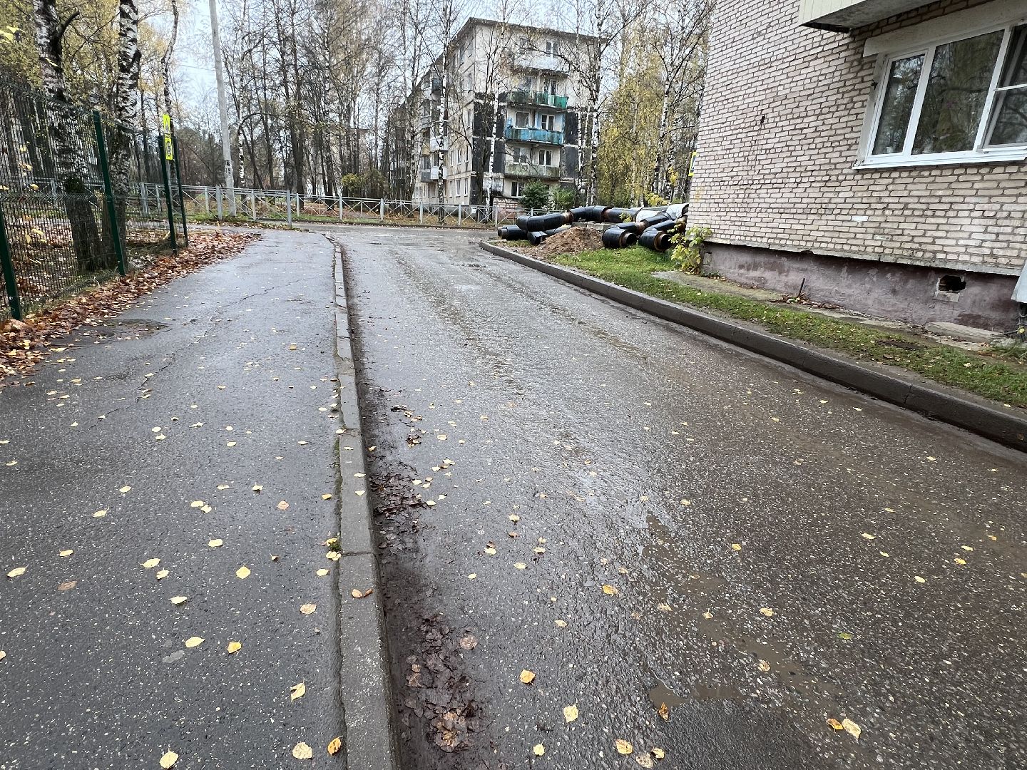 Запрудня благоустройство, Талдомский округ , Уборка тратуаров,