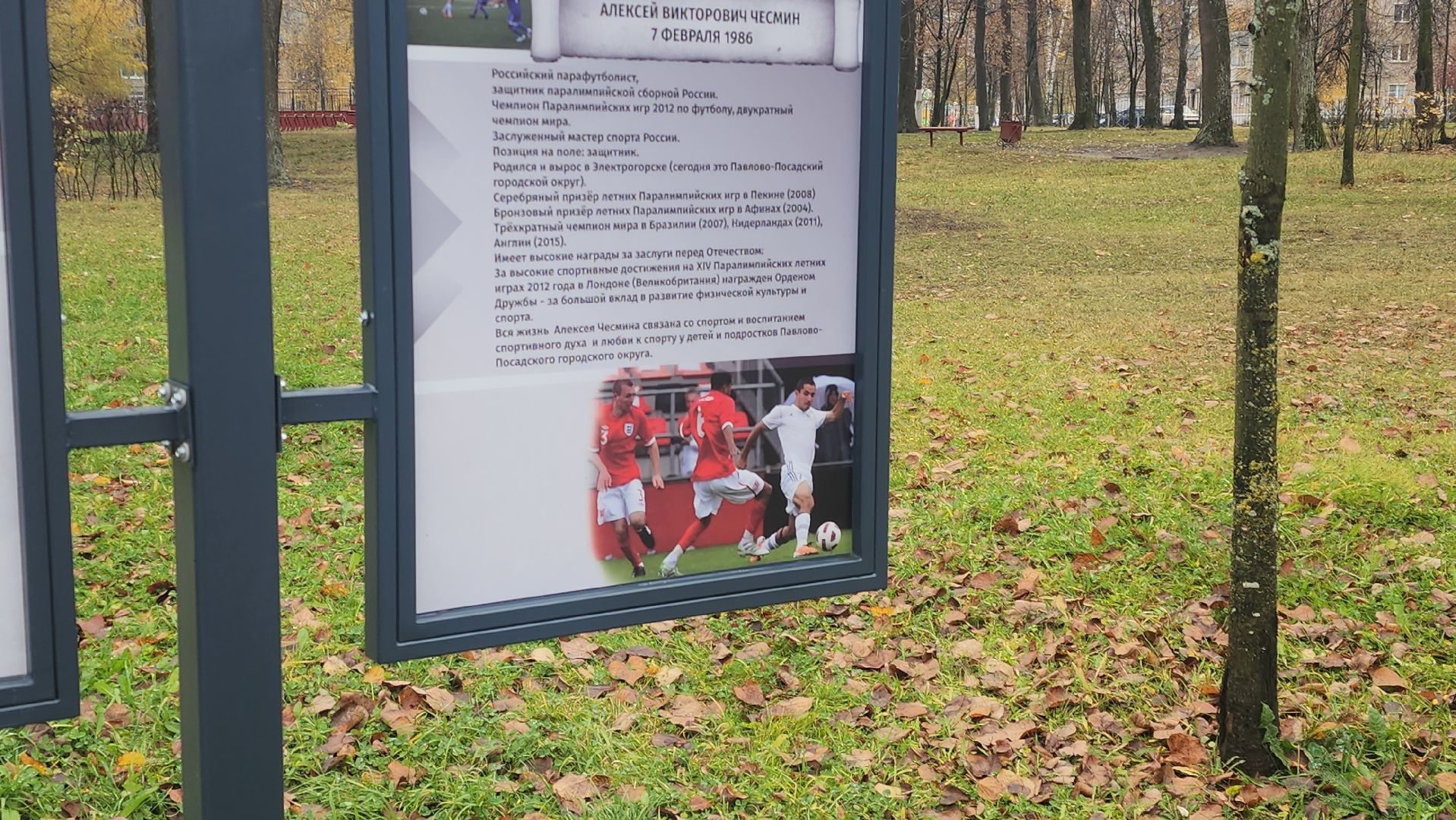 павловский посад, благоустройство, парк,