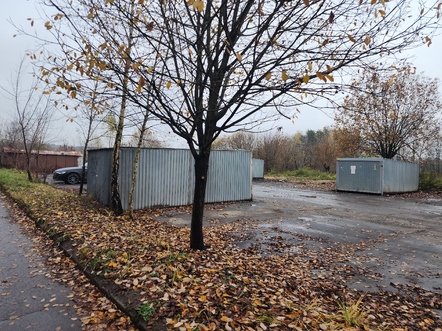 фрязино, снос незаконный строений, гаражи,