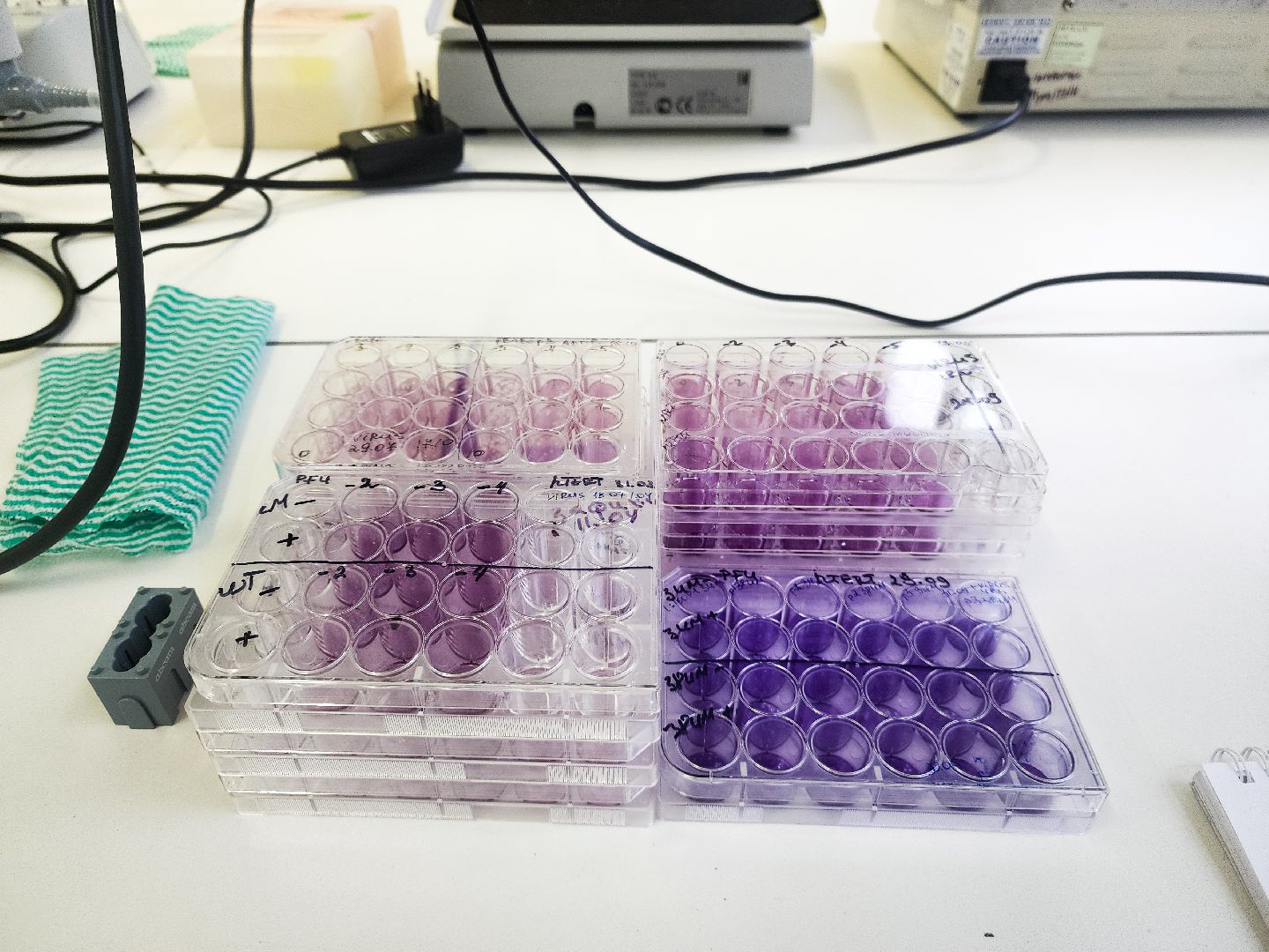 пущино, серпухов , наука, ученые,