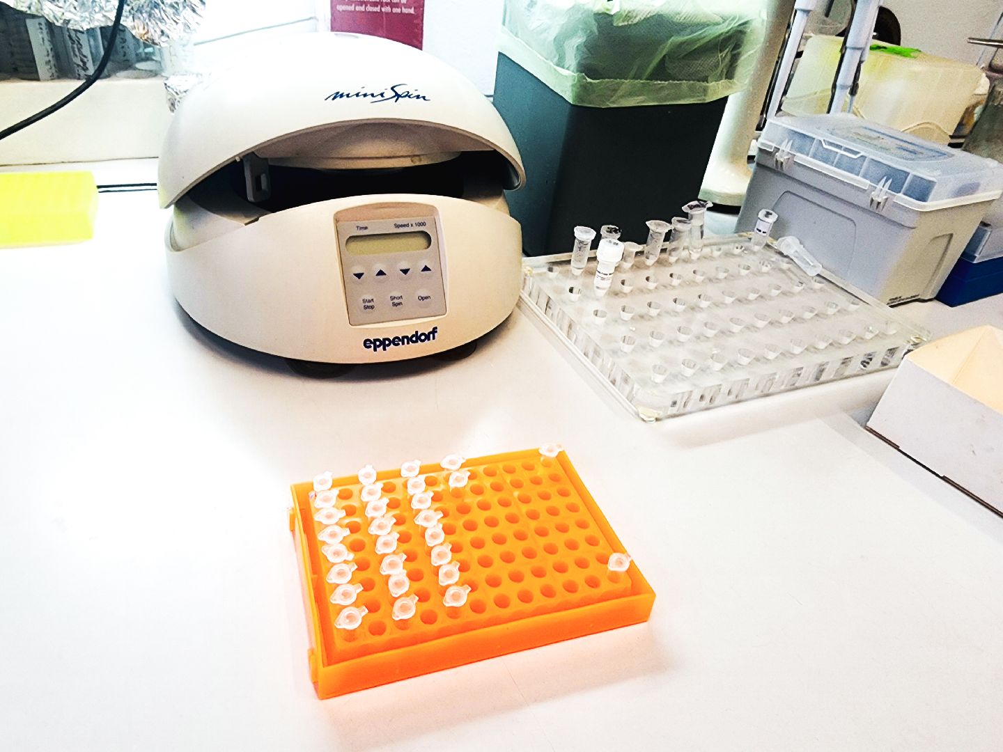 пущино, серпухов , наука, ученые,