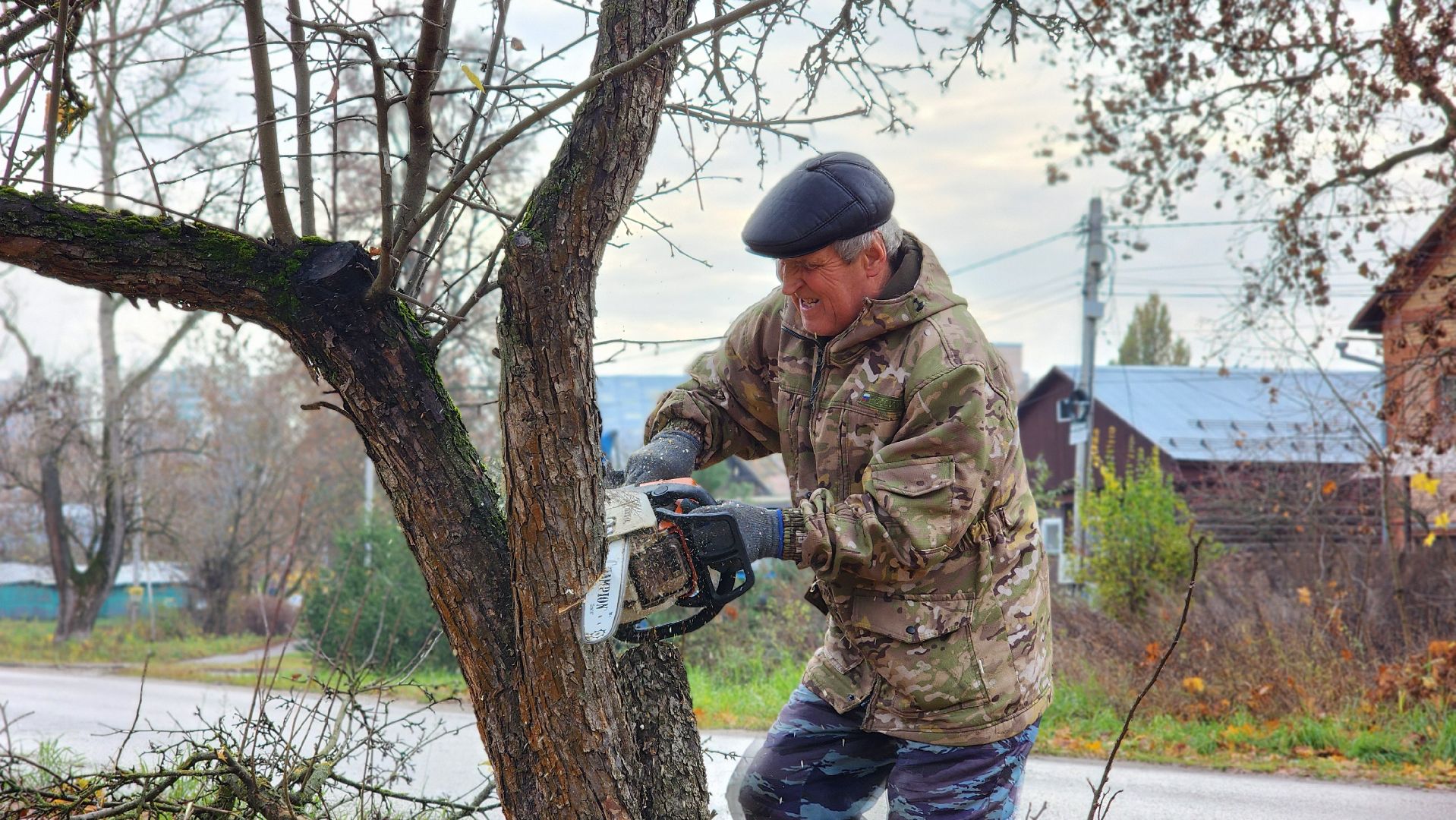 благоустрйоство, опиловка деревьев, лосино-петровский,
