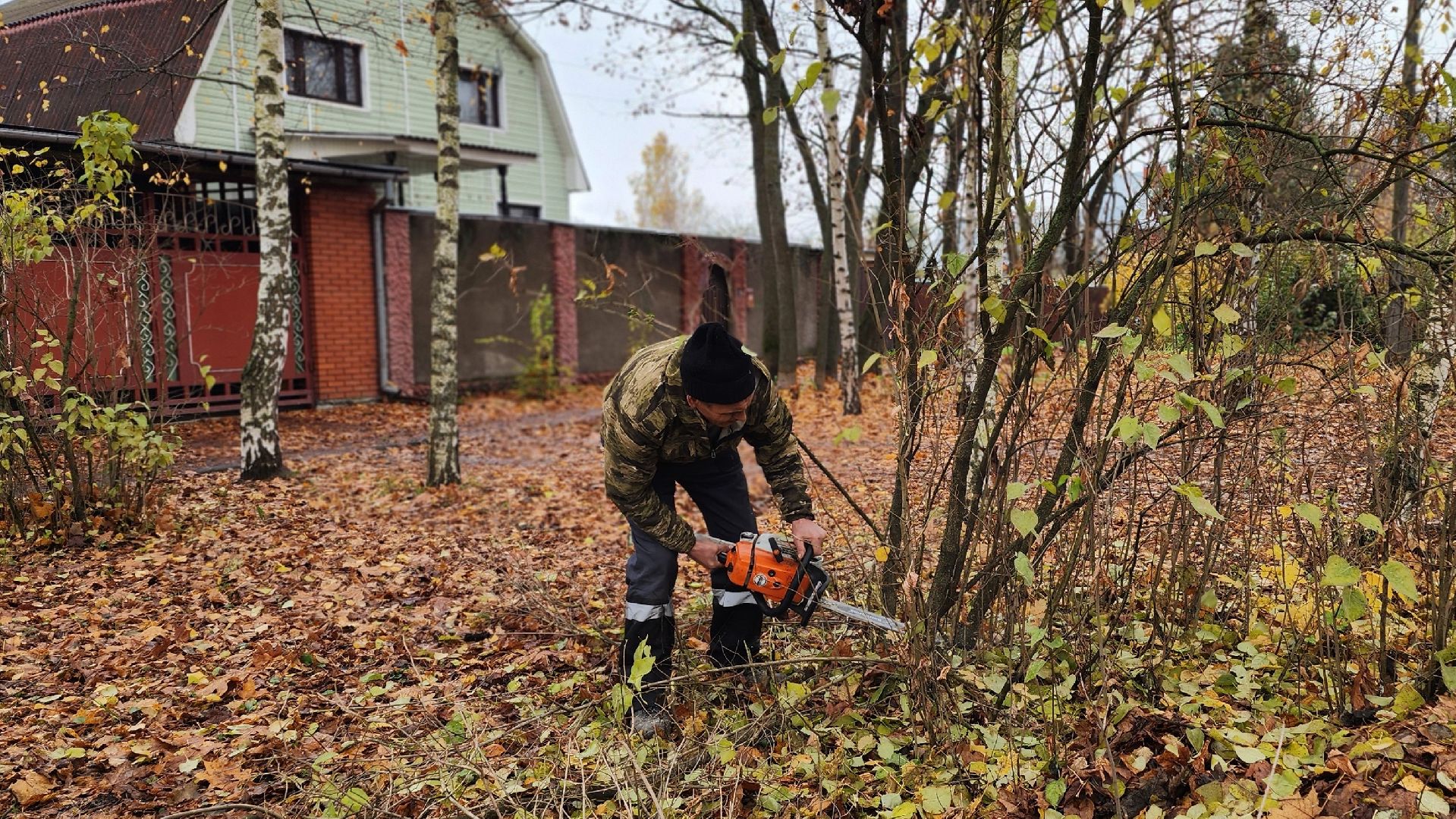 благоустрйоство, опиловка деревьев, лосино-петровский,