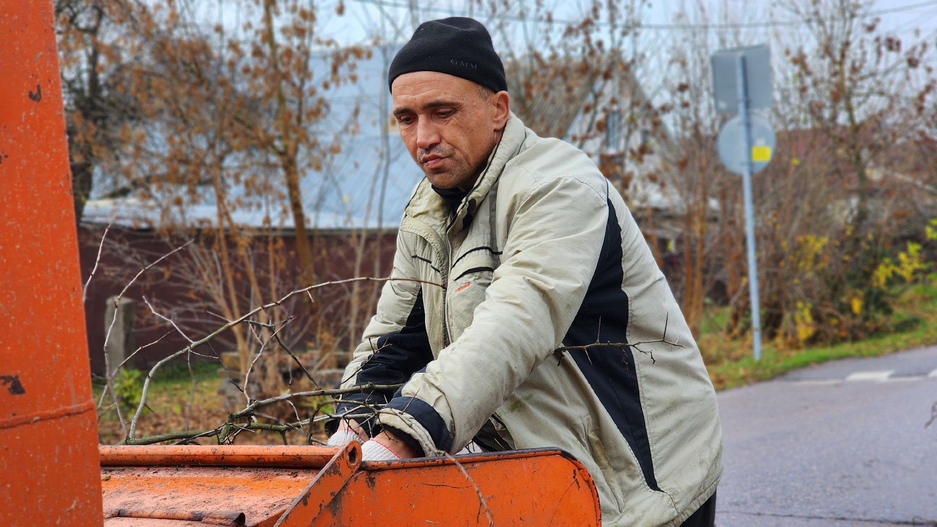 благоустрйоство, опиловка деревьев, лосино-петровский,