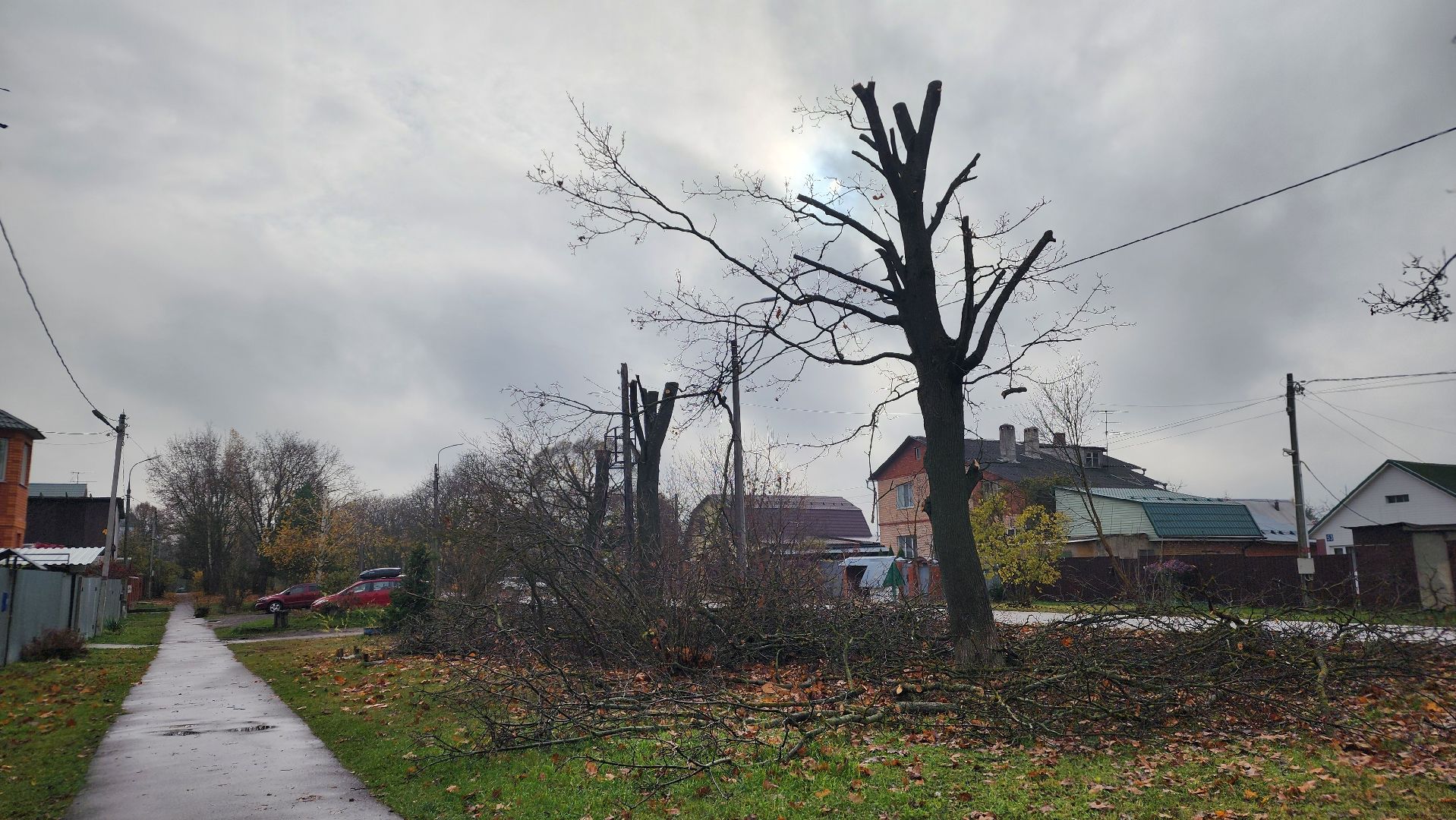 благоустрйоство, опиловка деревьев, лосино-петровский,