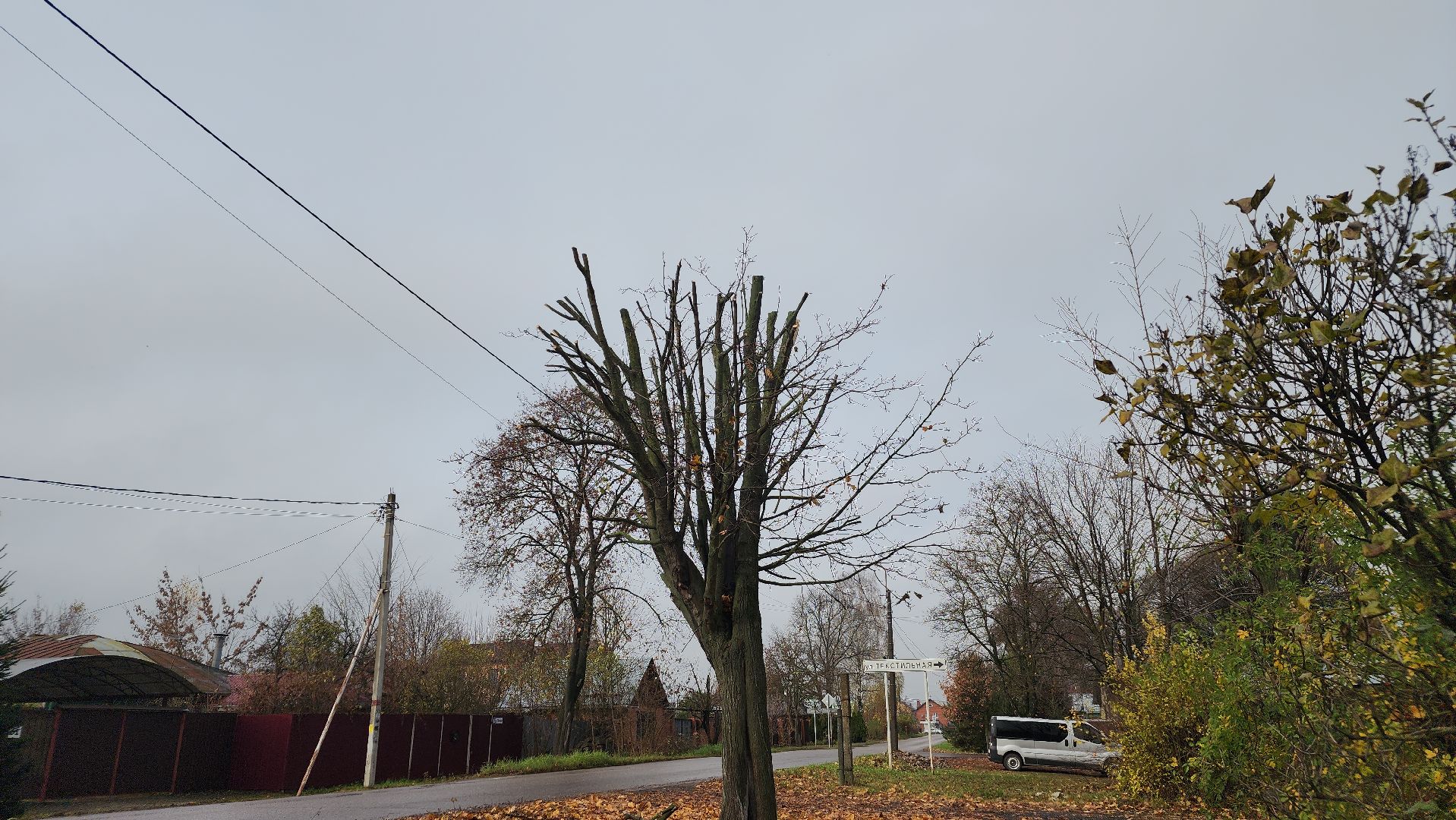 благоустрйоство, опиловка деревьев, лосино-петровский,