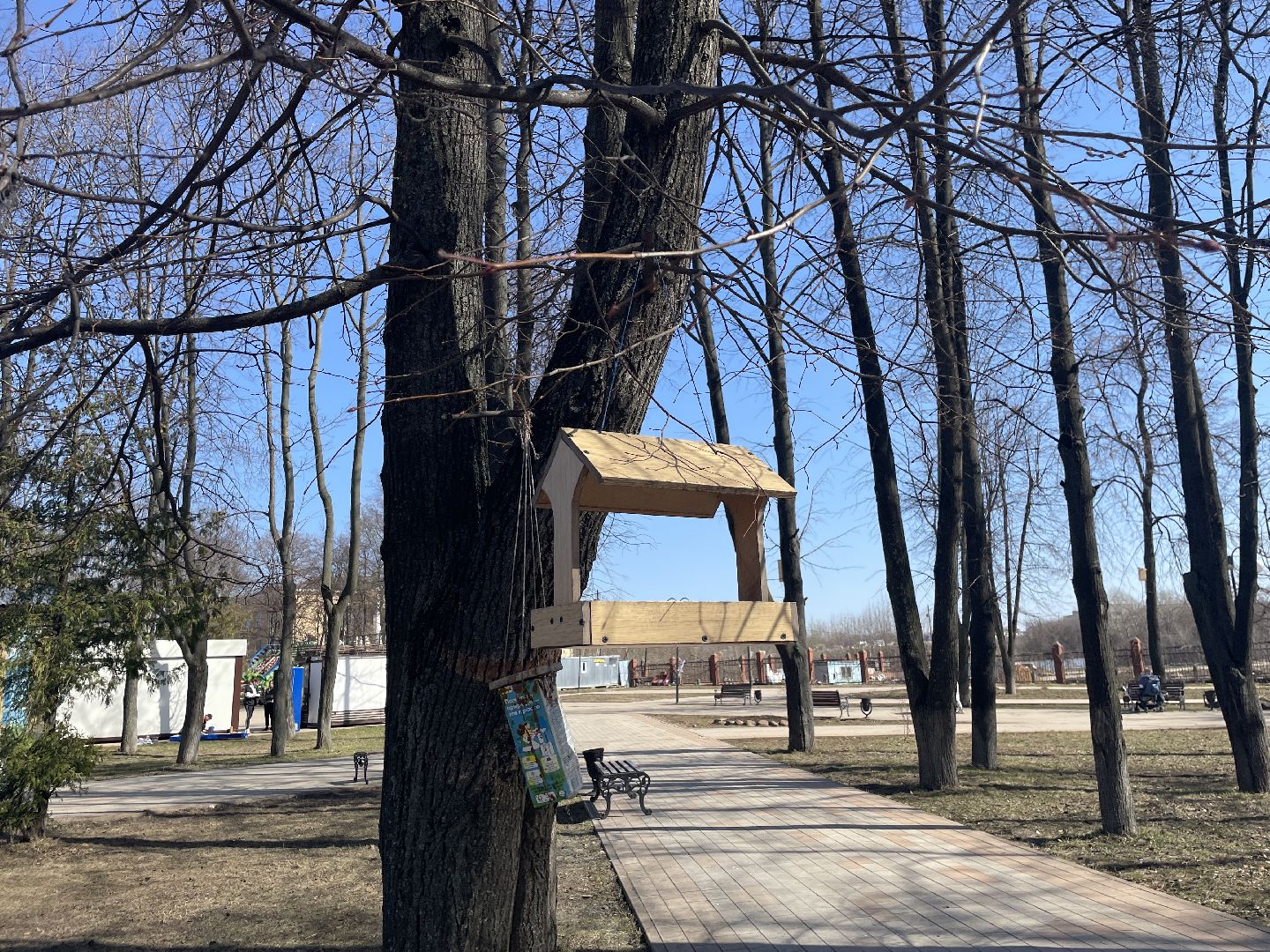 Скворечники, птицы