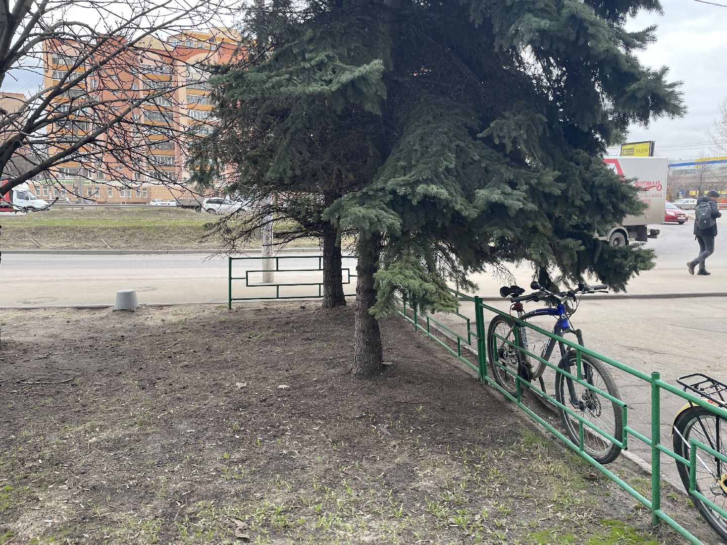 Елки, уборка