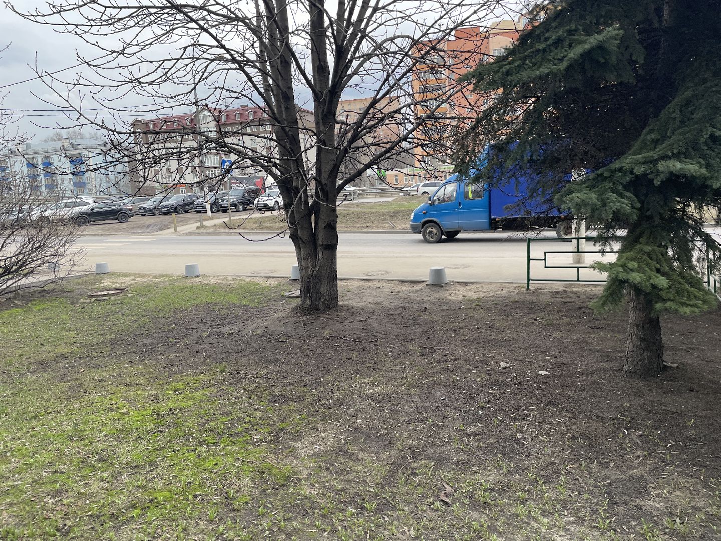 Елки, уборка