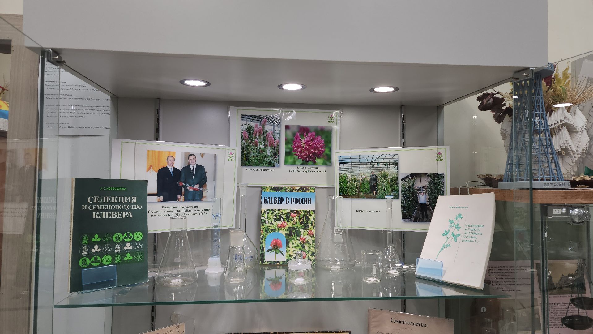 луговая, Выставка, музей истории, Лобня,