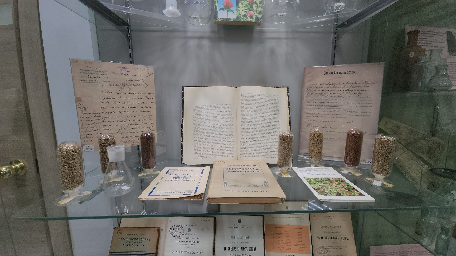 луговая, Выставка, музей истории, Лобня,