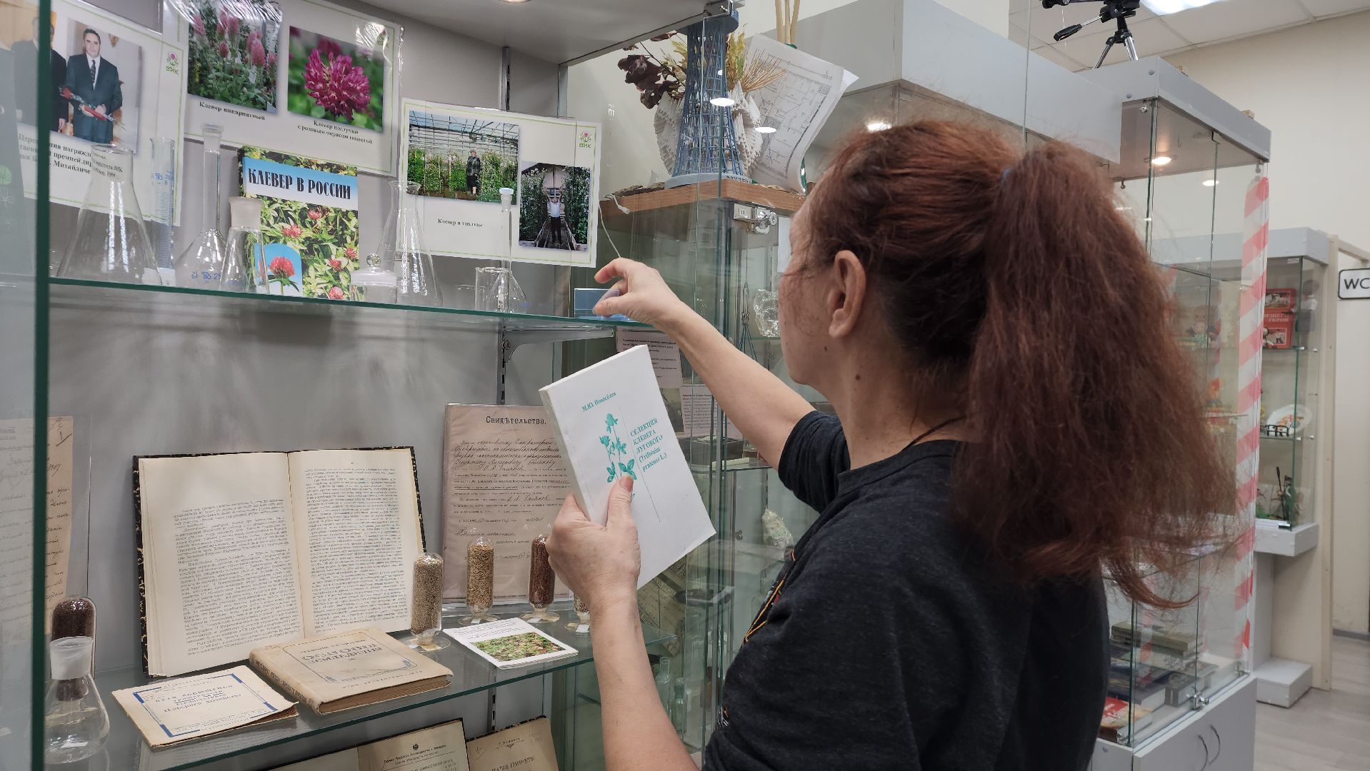 луговая, Выставка, музей истории, Лобня,