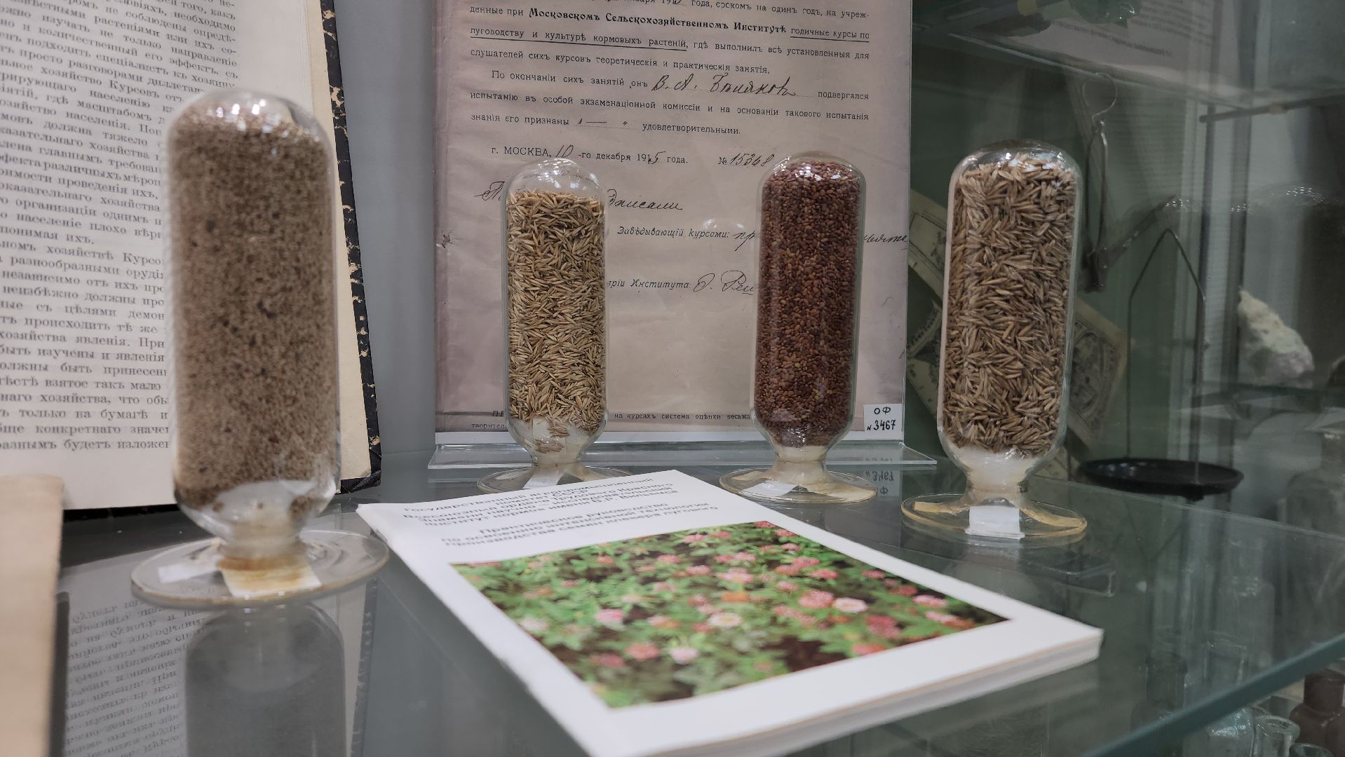 луговая, Выставка, музей истории, Лобня,