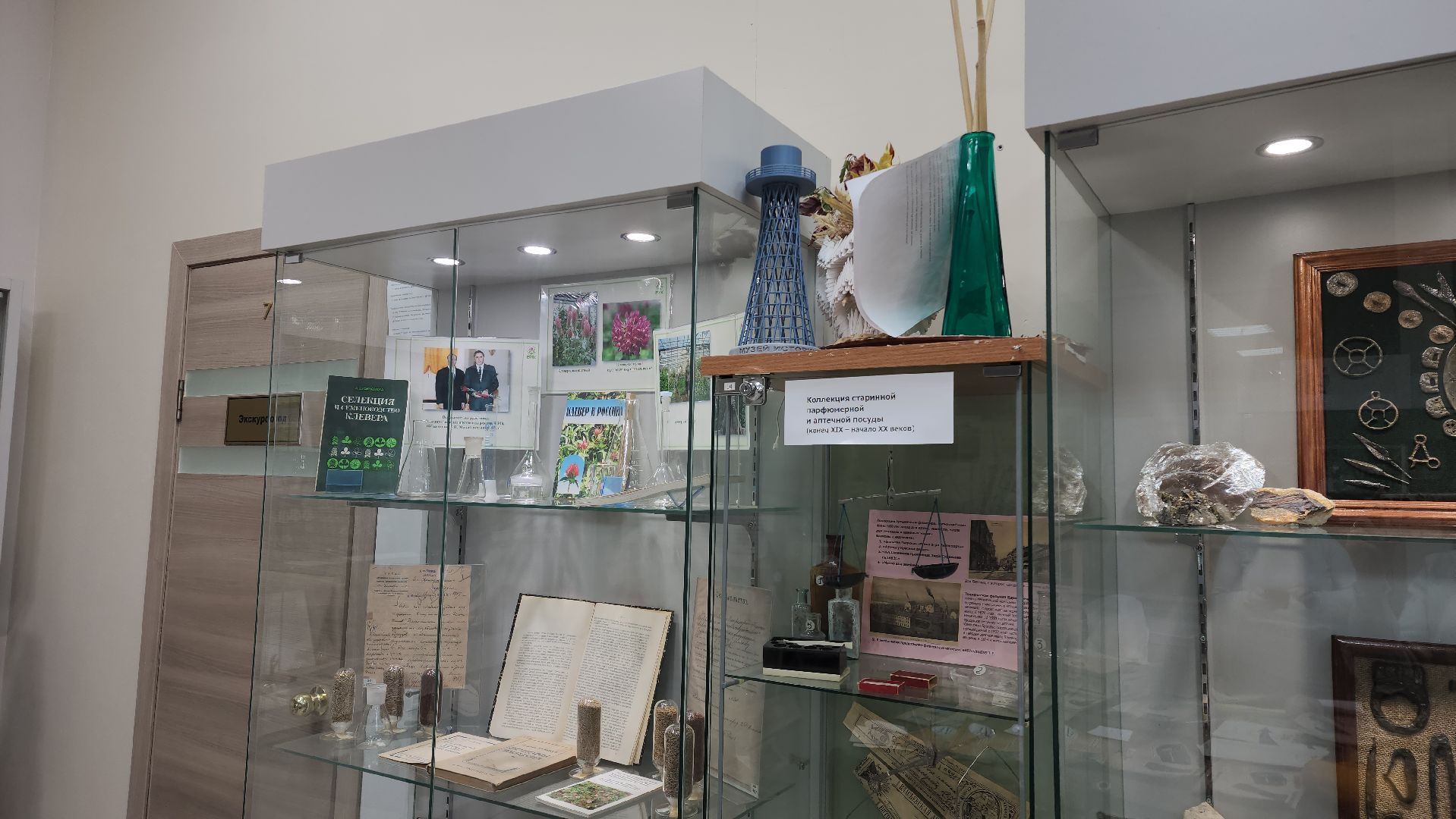 луговая, Выставка, музей истории, Лобня,