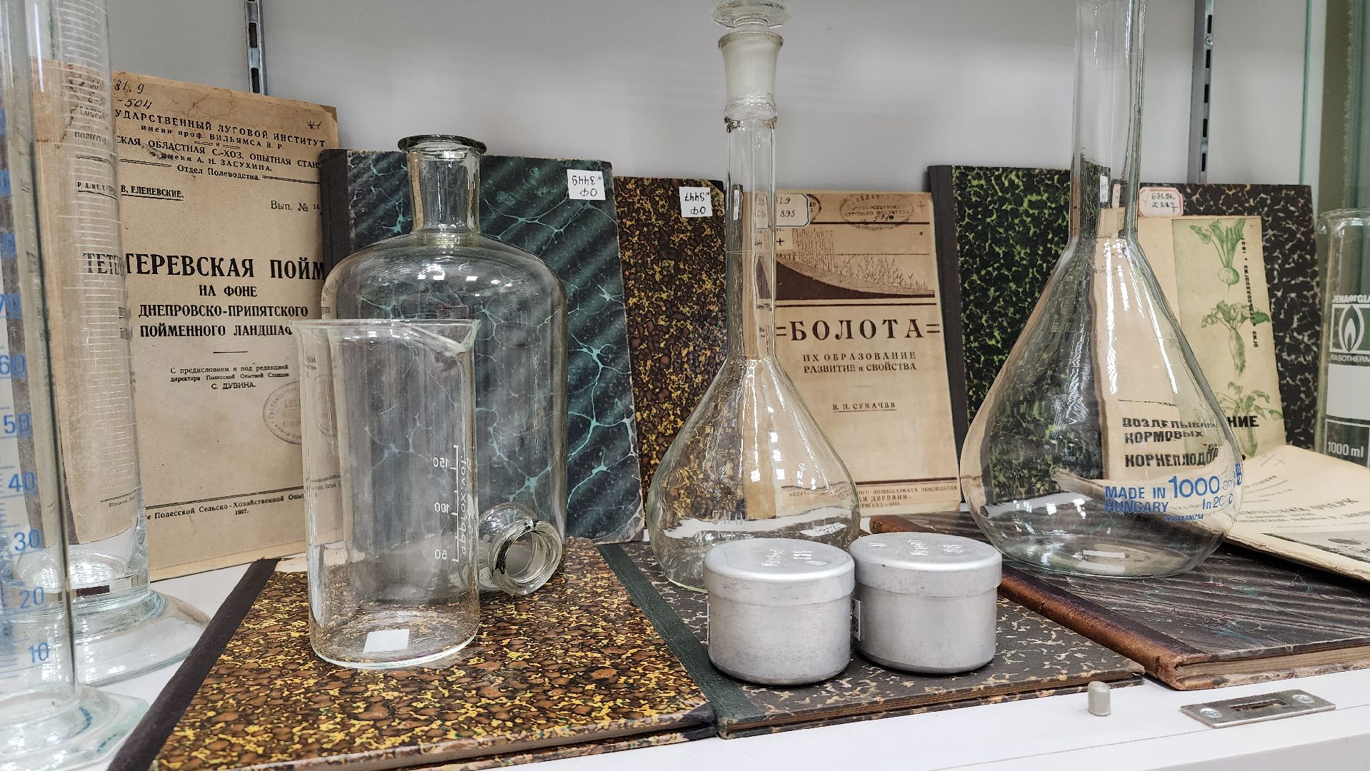 луговая, Выставка, музей истории, Лобня,