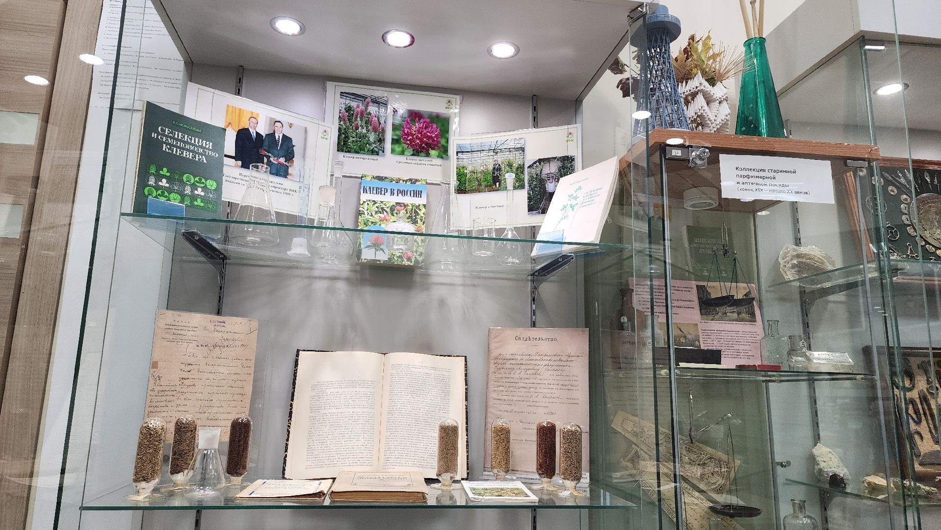 луговая, Выставка, музей истории, Лобня,