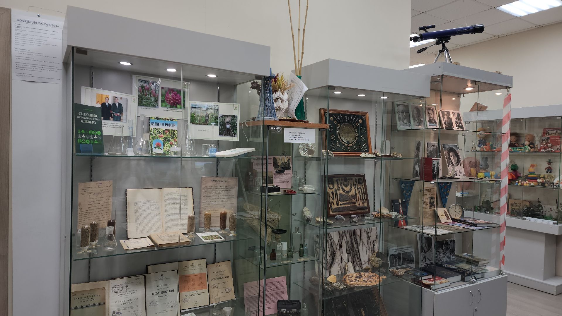 луговая, Выставка, музей истории, Лобня,