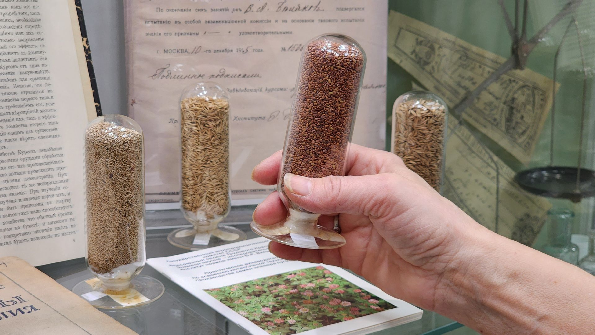 луговая, Выставка, музей истории, Лобня,