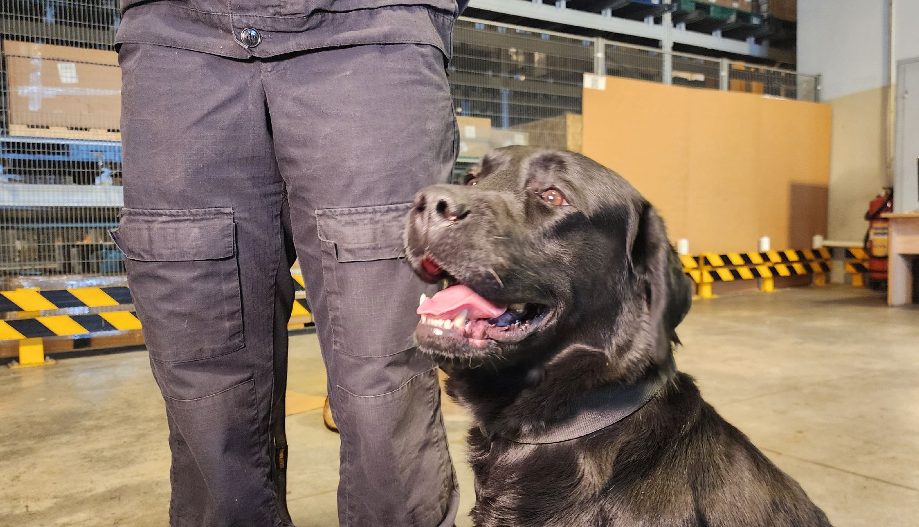 Химки, таможенный контроль, Безопасность , Шереметьево ,