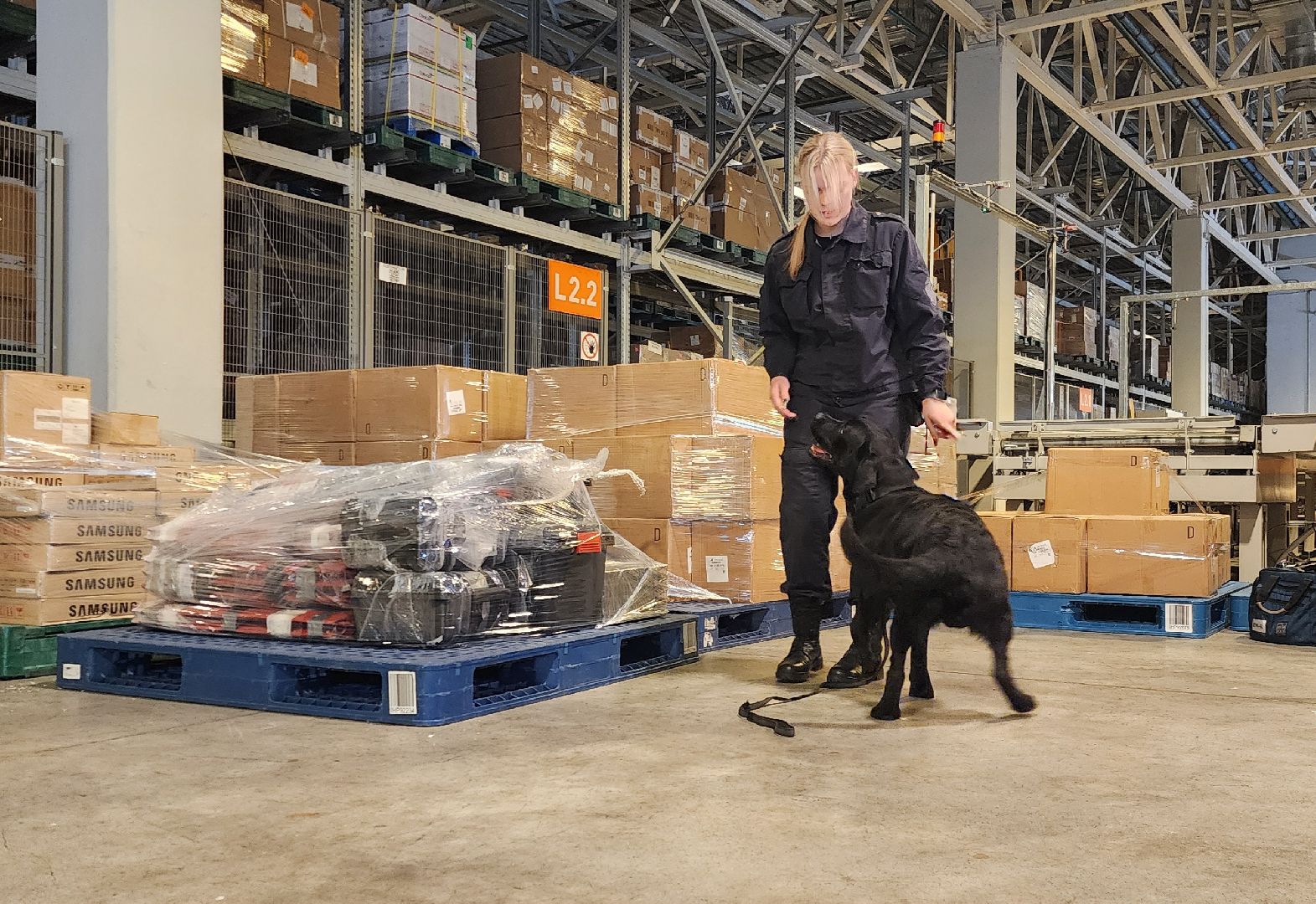 Химки, таможенный контроль, Безопасность , Шереметьево ,