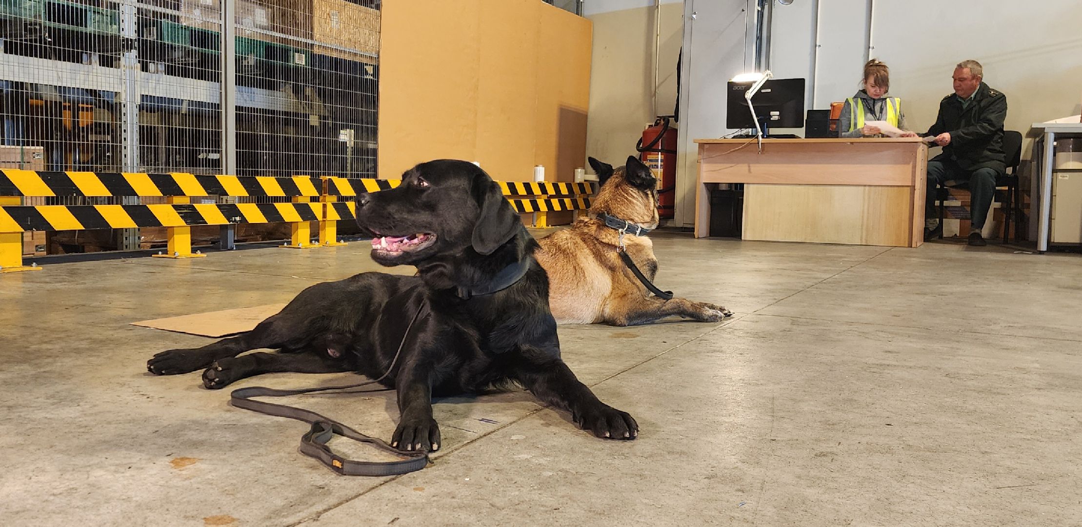 Химки, таможенный контроль, Безопасность , Шереметьево ,