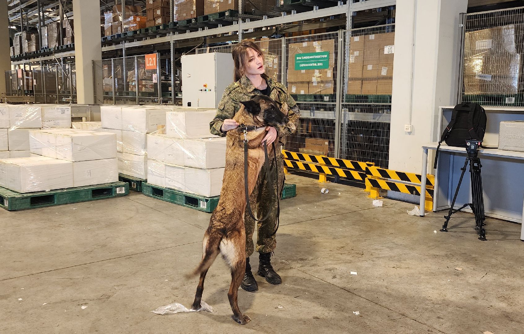 Химки, таможенный контроль, Безопасность , Шереметьево ,