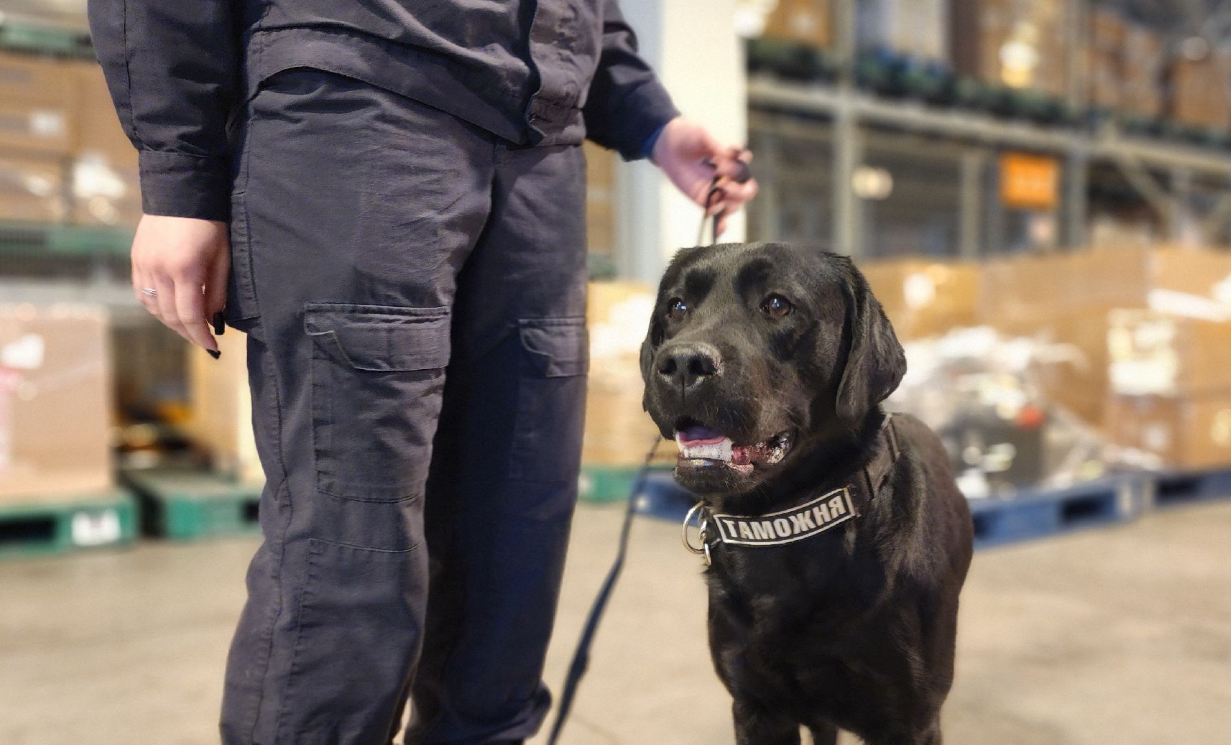 Химки, таможенный контроль, Безопасность , Шереметьево ,