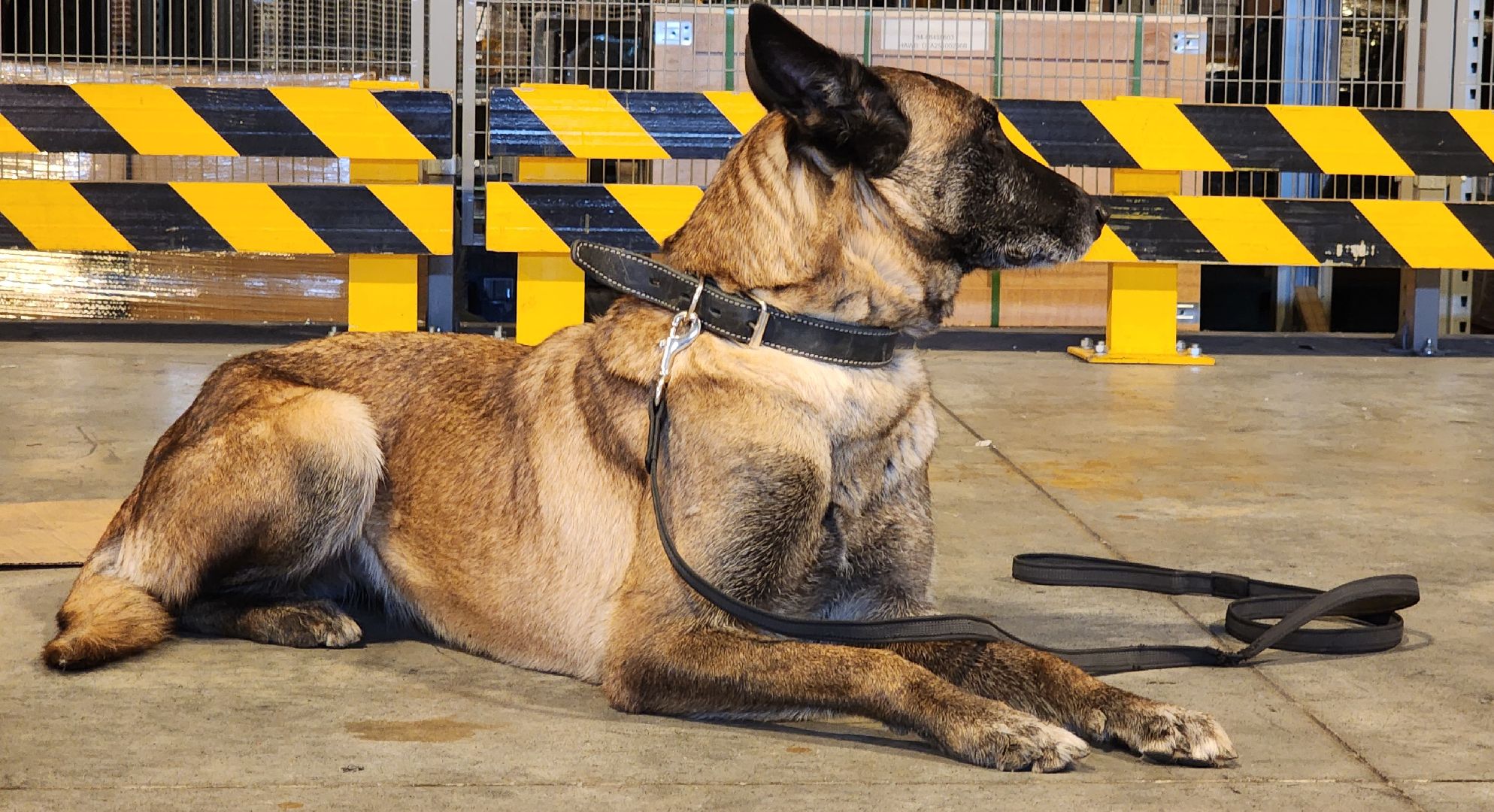 Химки, таможенный контроль, Безопасность , Шереметьево ,