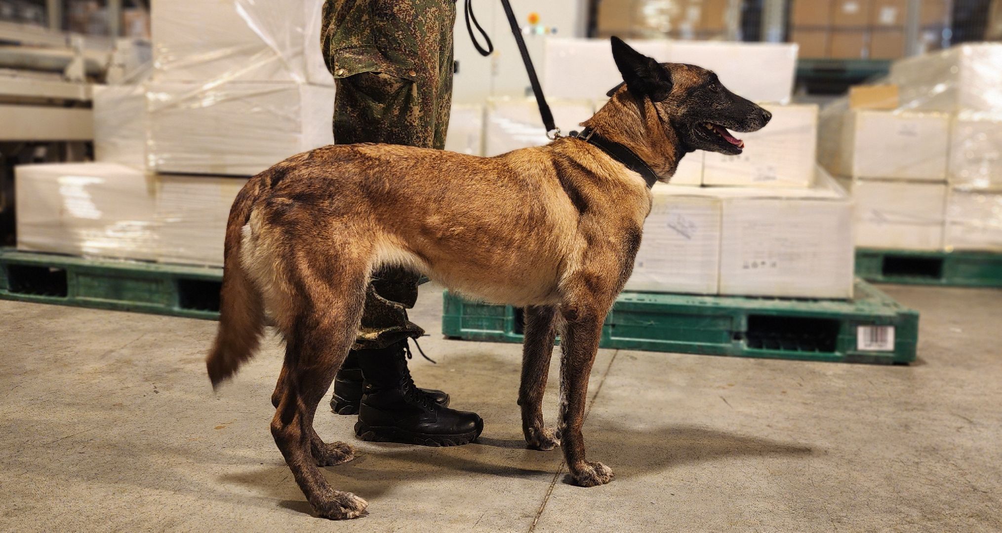 Химки, таможенный контроль, Безопасность , Шереметьево ,