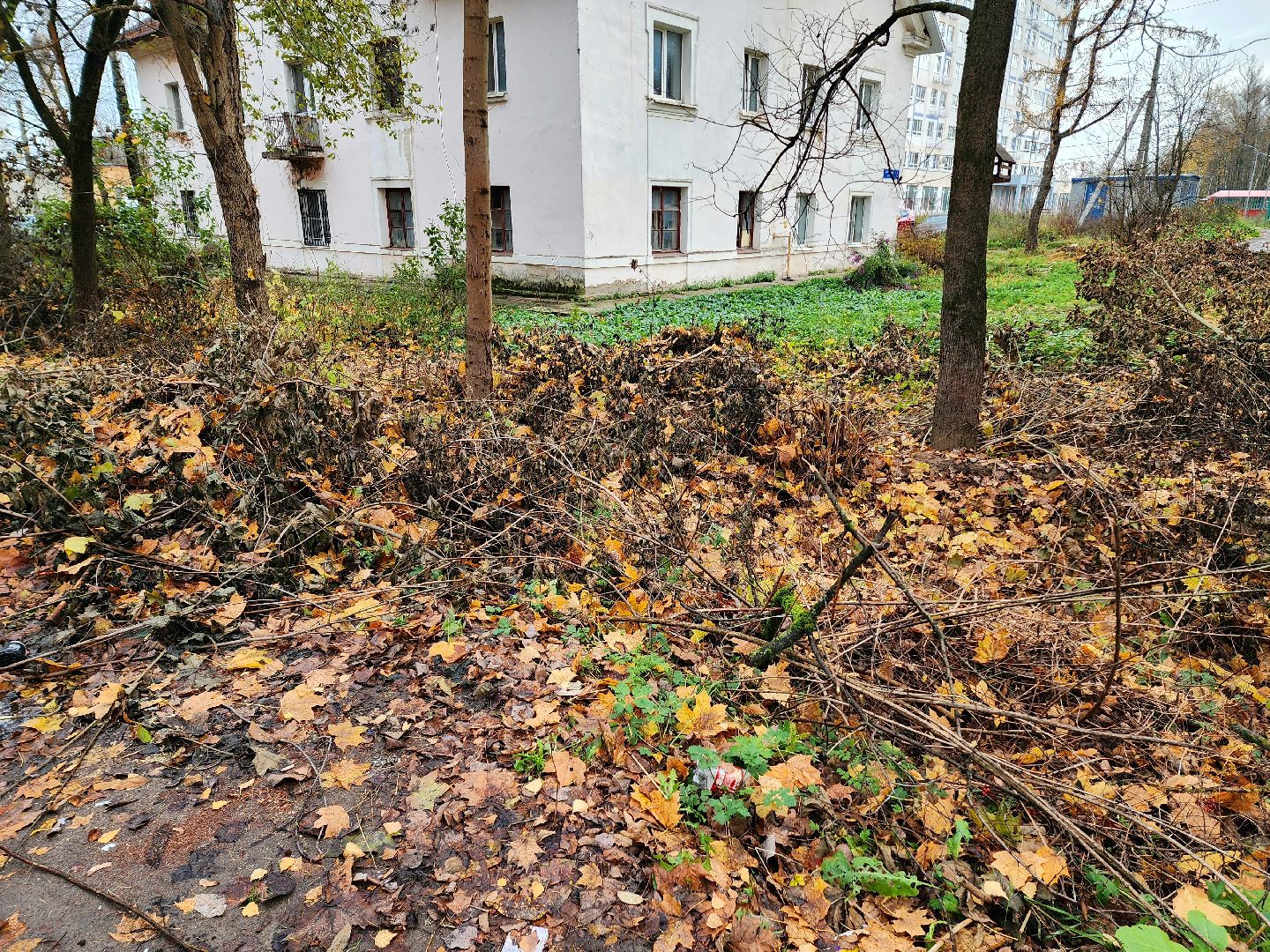 солнечногорск, жители , администрация , выездная администрация ,