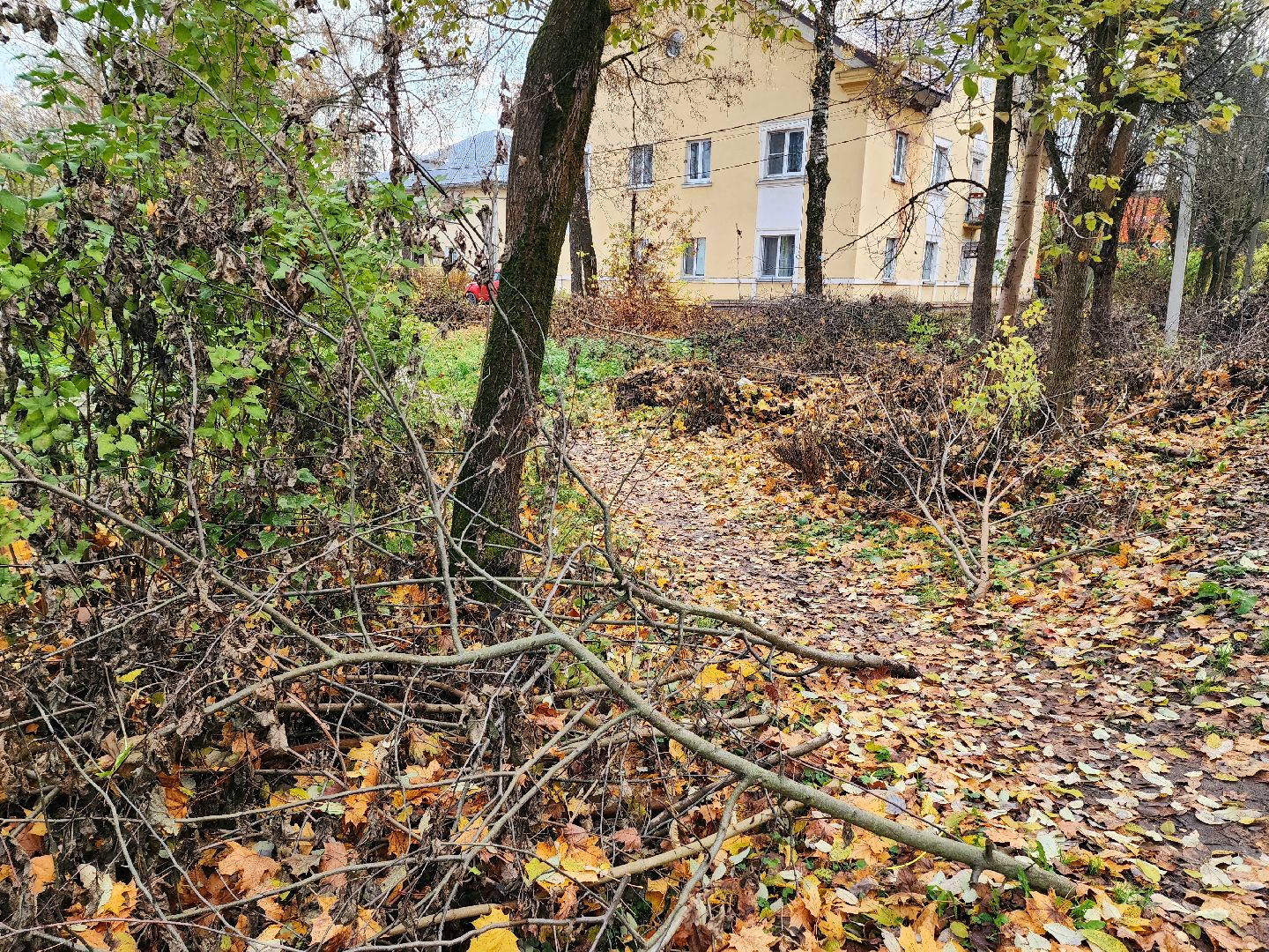 солнечногорск, жители , администрация , выездная администрация ,