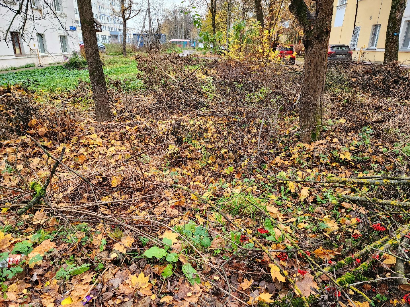 солнечногорск, жители , администрация , выездная администрация ,