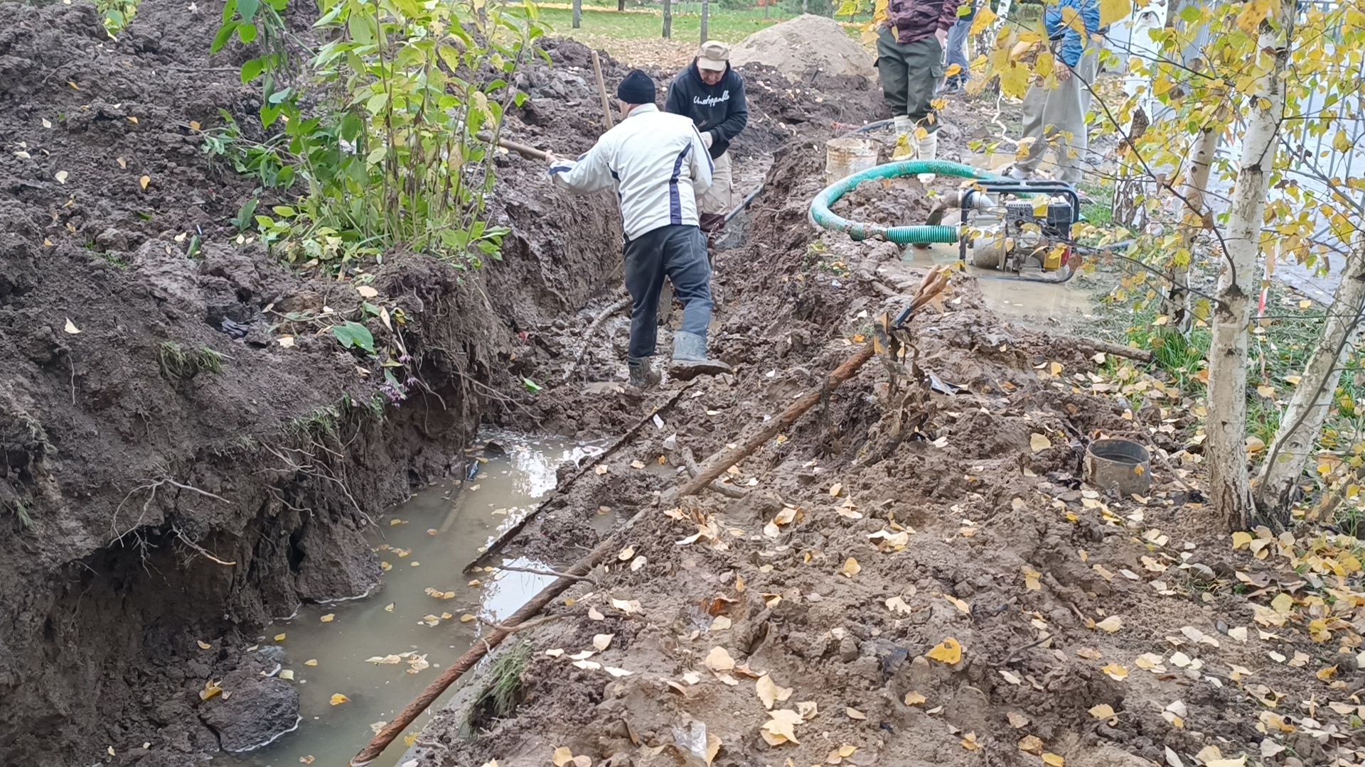 парк , лобня, ремонт,