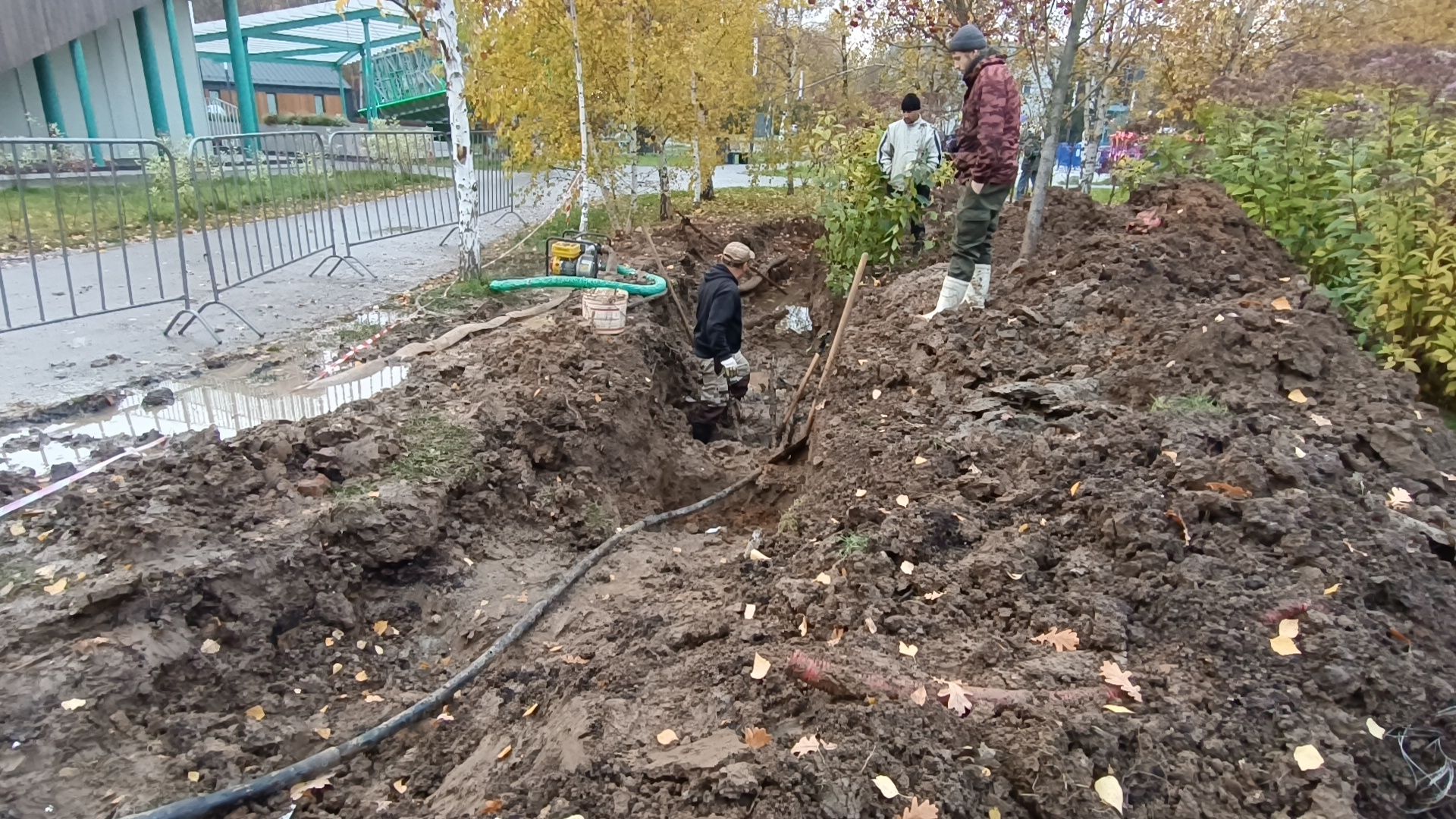 парк , лобня, ремонт,