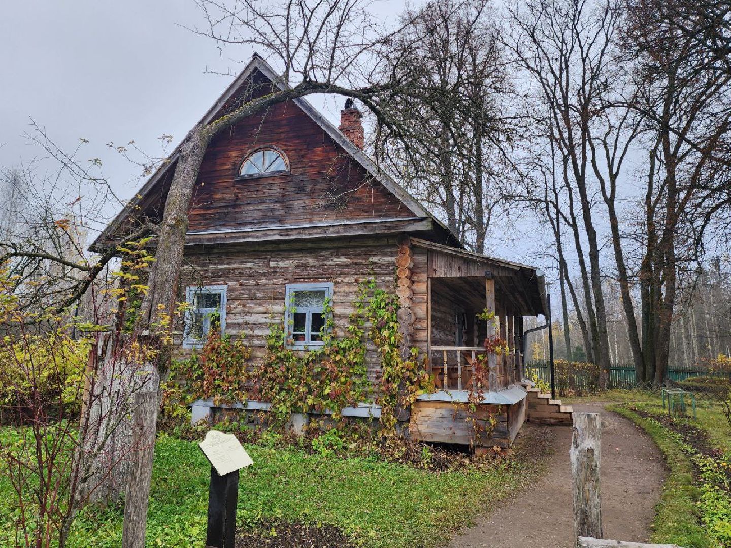 солнечногорск, культура, общество,