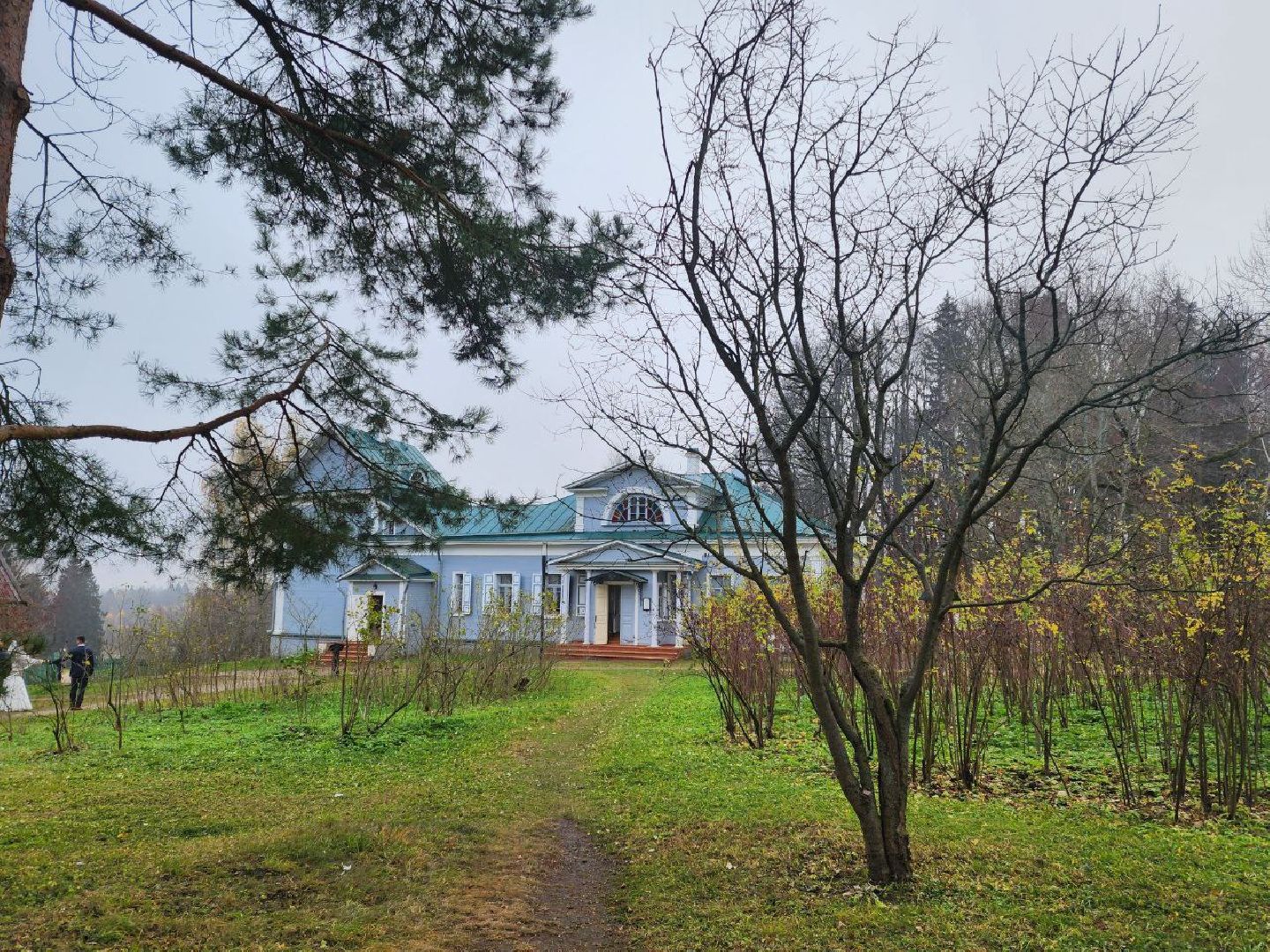 солнечногорск, культура, общество,