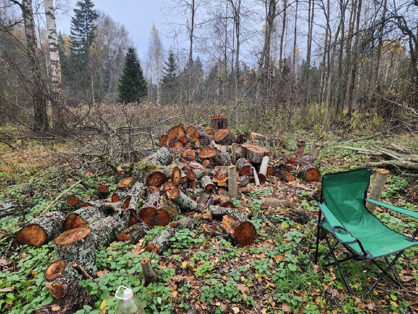 солнечногорск, культура, общество,
