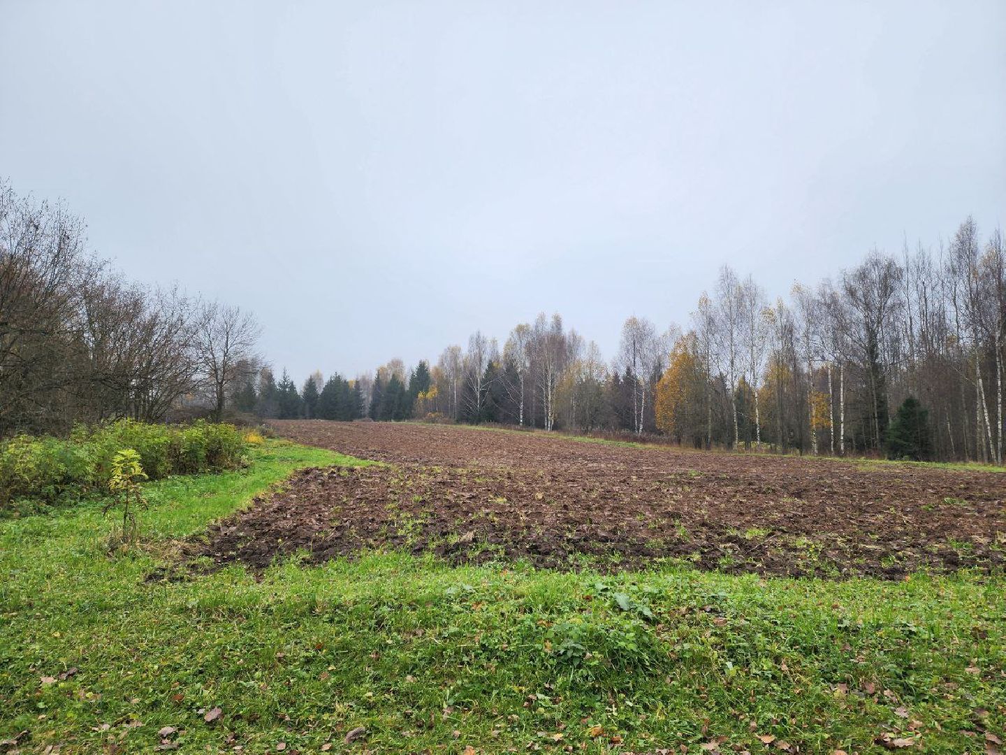 солнечногорск, культура, общество,