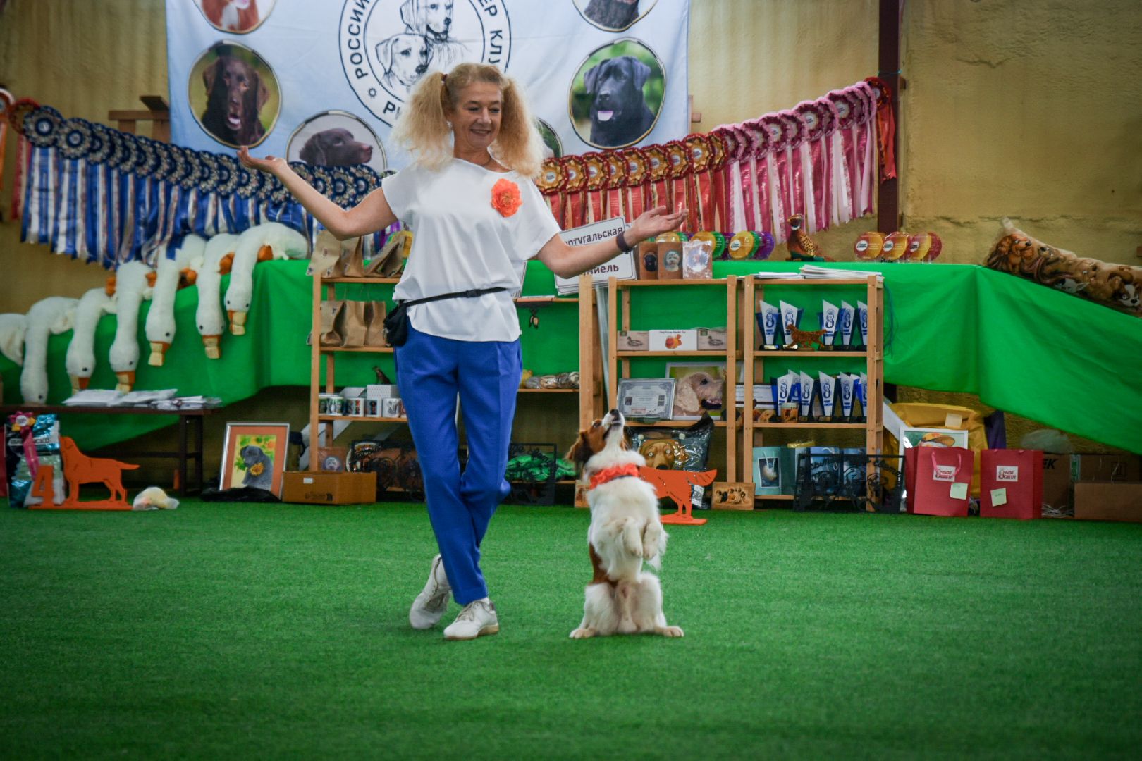 бронницы, выставка собак в бронницах, выставка ретриверов в бронницах, российский ретривер клуб,