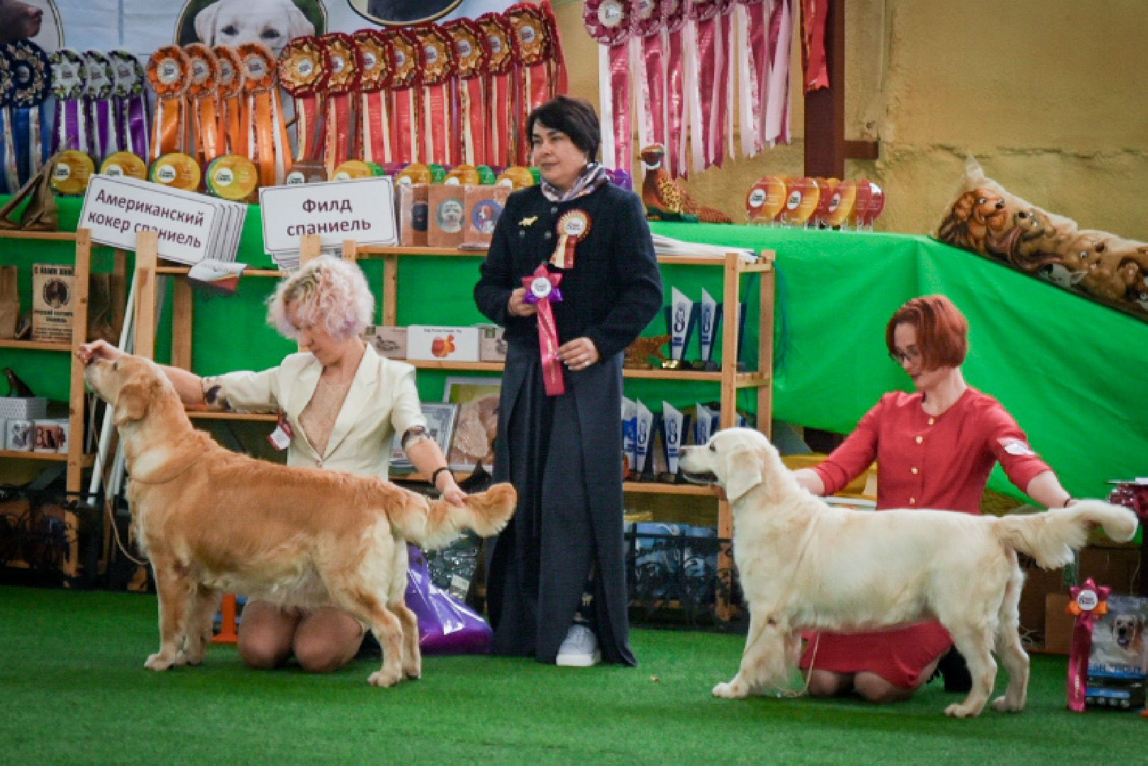 бронницы, выставка собак в бронницах, выставка ретриверов в бронницах, российский ретривер клуб,