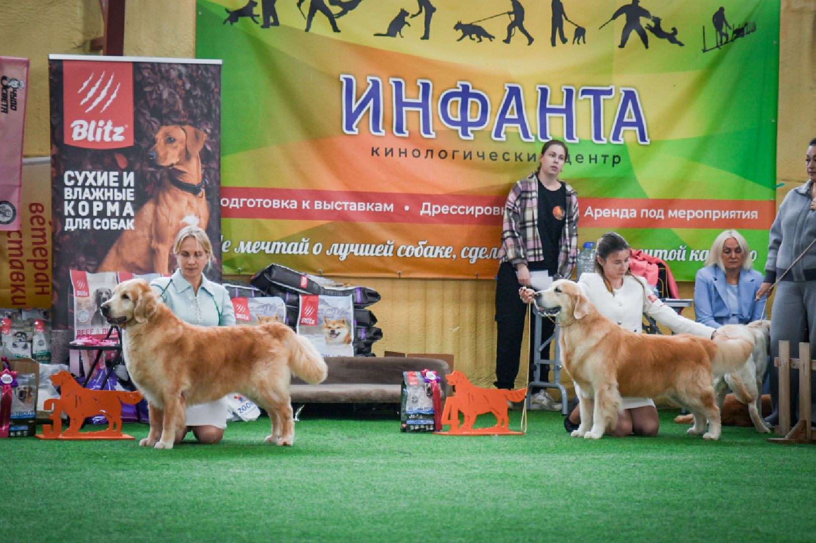 бронницы, выставка собак в бронницах, выставка ретриверов в бронницах, российский ретривер клуб,