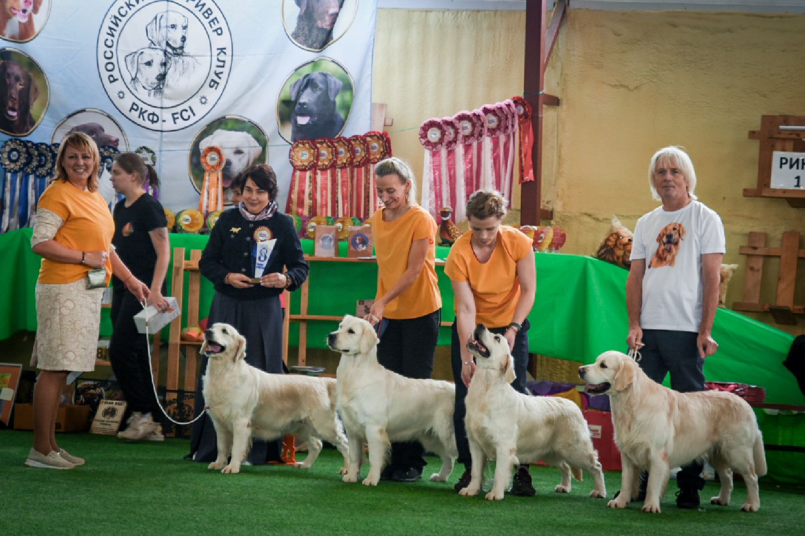 бронницы, выставка собак в бронницах, выставка ретриверов в бронницах, российский ретривер клуб,